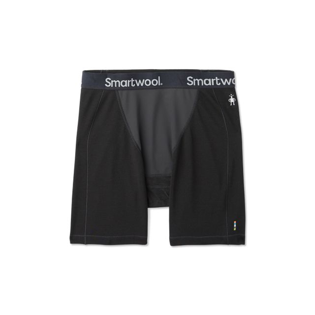 Smartwool / Men's Merino Sport 250 Wind Boxer Brief