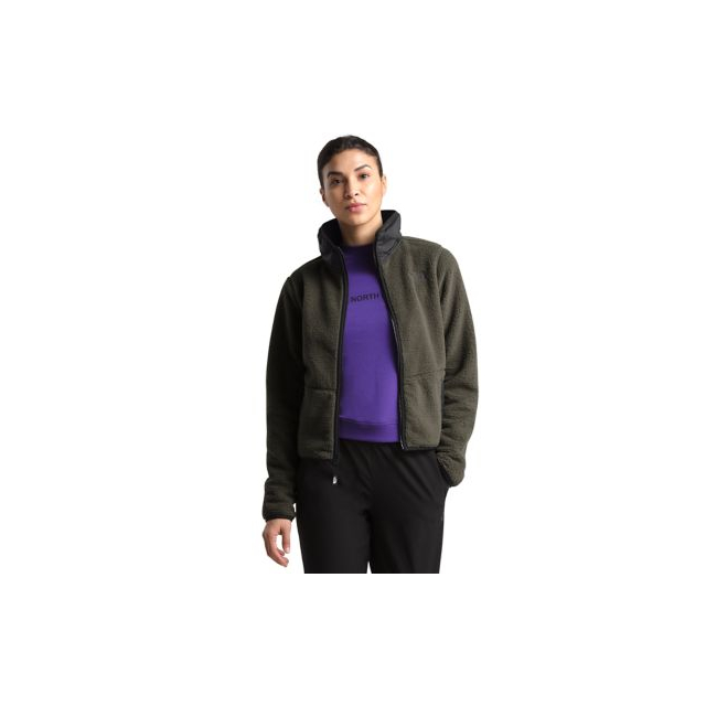 the north face women's dunraven sherpa jacket
