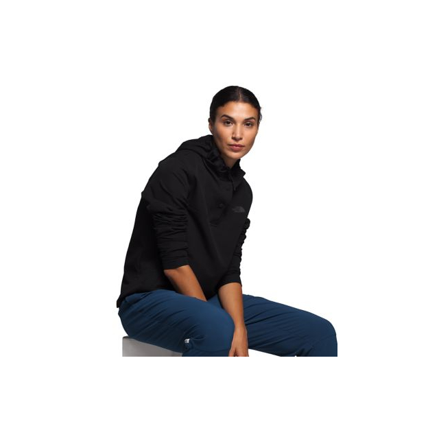 the north face women's tekno ridge hoodie