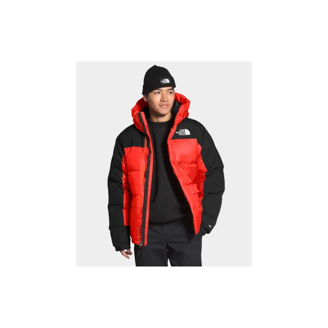 the north face men's down parkas