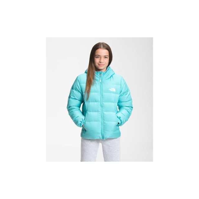 north face 950 fill down jacket