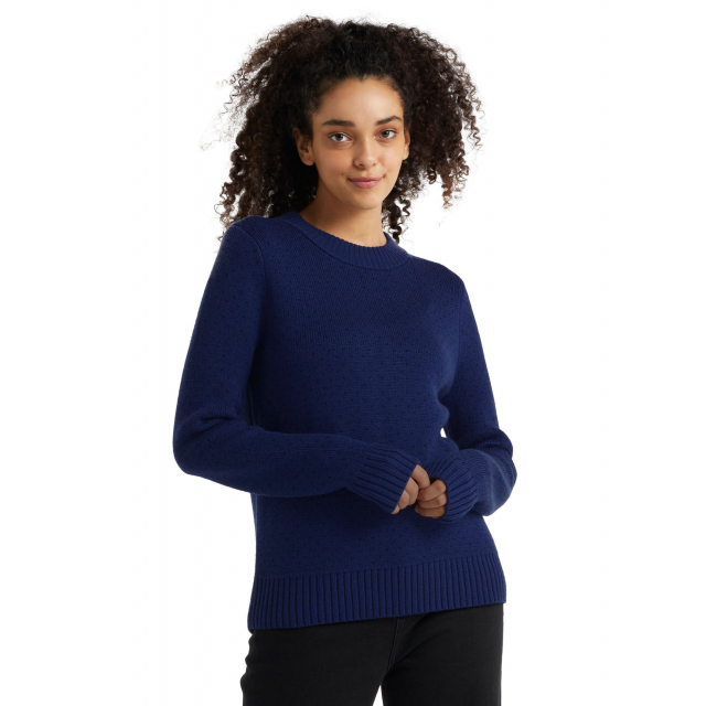 icebreaker waypoint crewe sweater