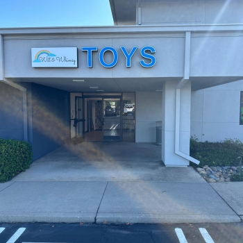 Wit & Whimsy Toys