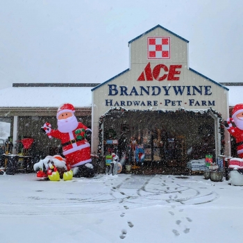 Brandywine Ace Pet & Farm