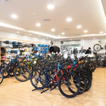 Cicloba&iacute;a :: Bikes &middot; Service &middot; Gear