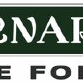 Bernards Store For Men