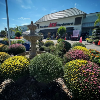 Proctor Ace Hardware