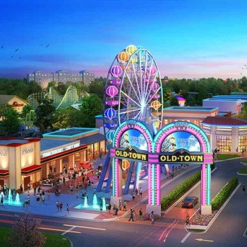 Comfort Wiz Footwear