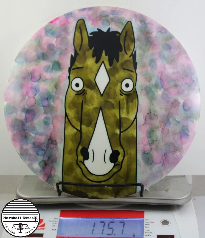 Star Tern, BoJack Horseman
