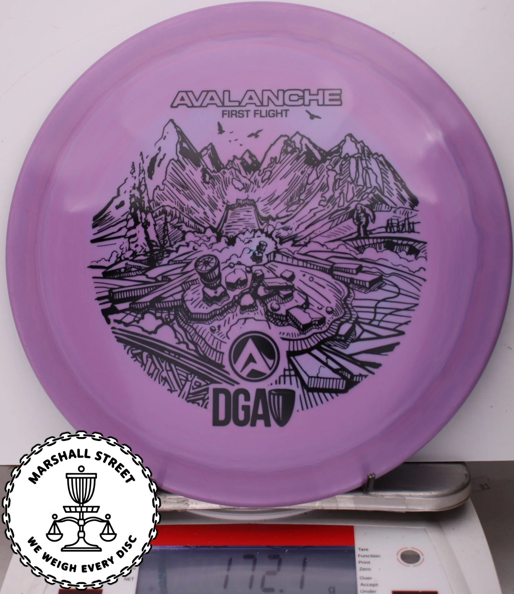 307315.jpg P-Line Avalanche, First Flight - #01 Purple, 172