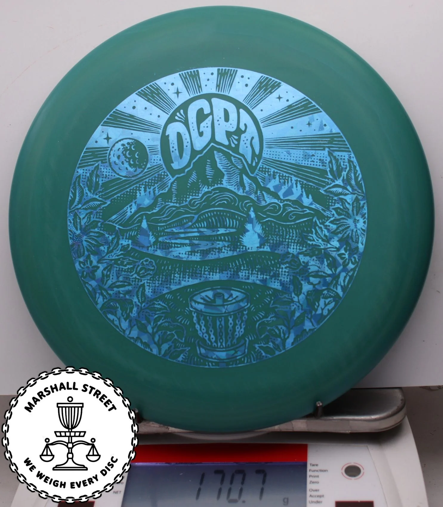 313059.jpg D-Line Steady, DGPT - #06 DkGreen, 171