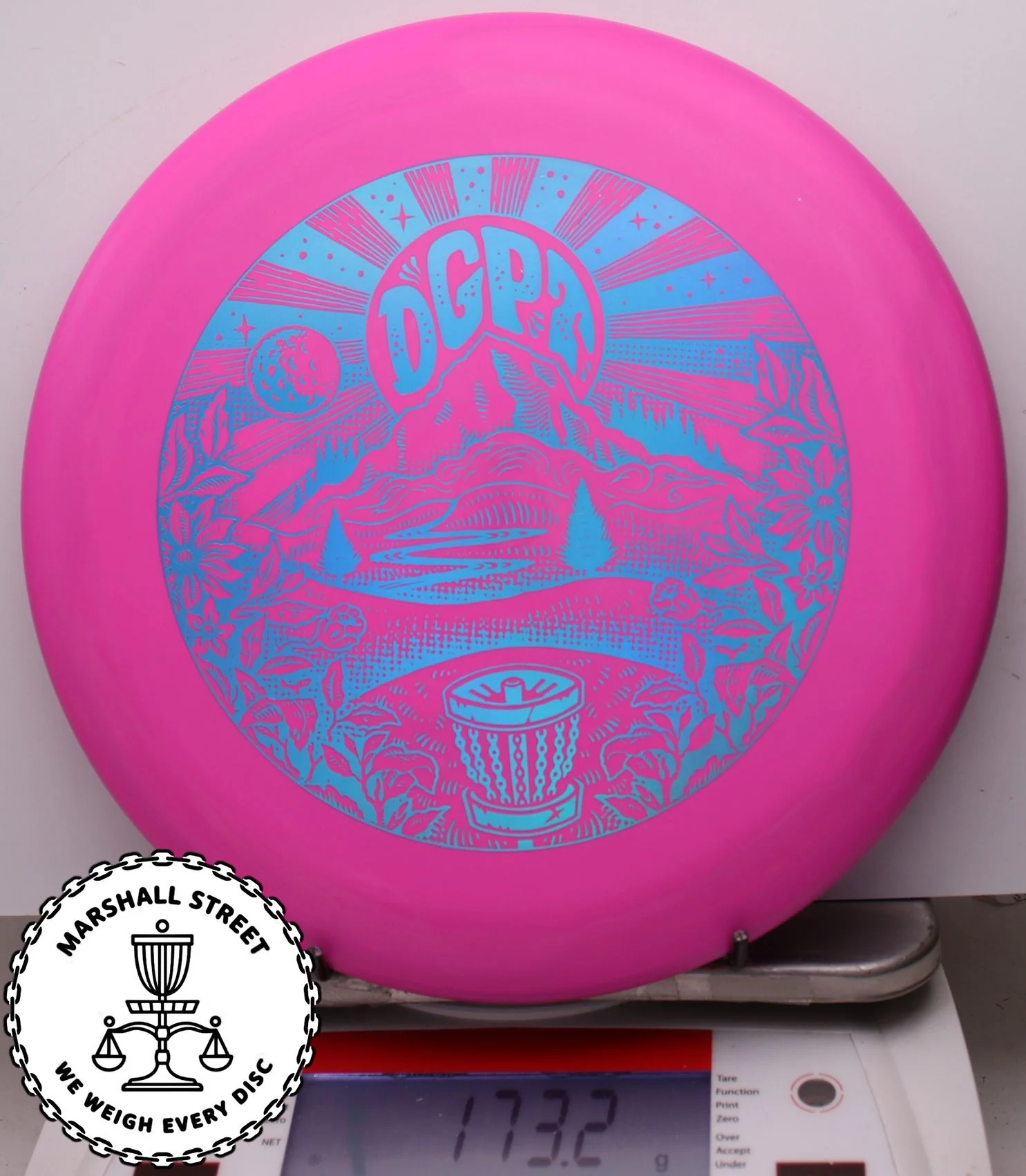 313055.jpg D-Line Steady, DGPT - #02 Pink, 173