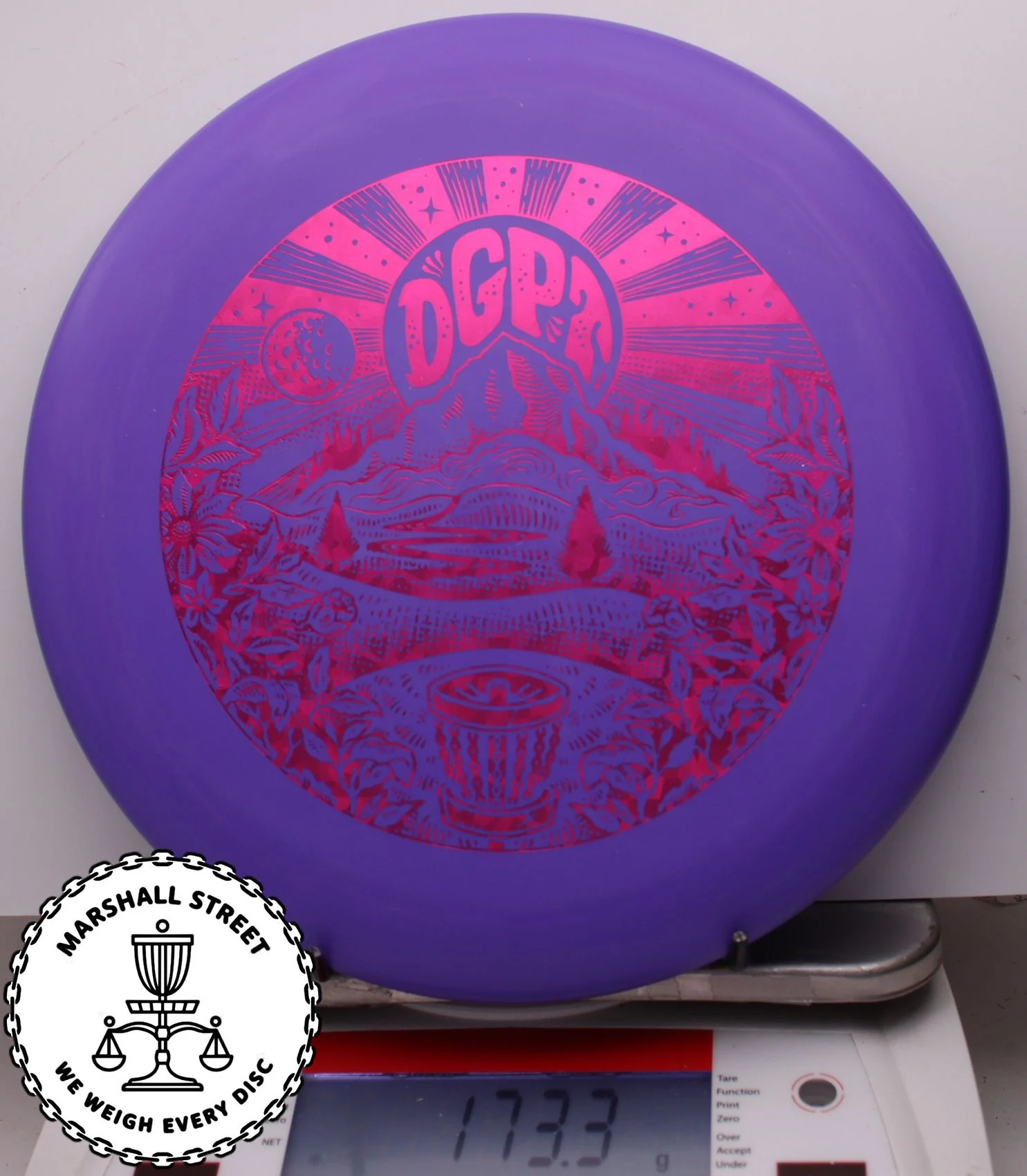 313068.jpg D-Line Steady, DGPT - #15 Purple, 173