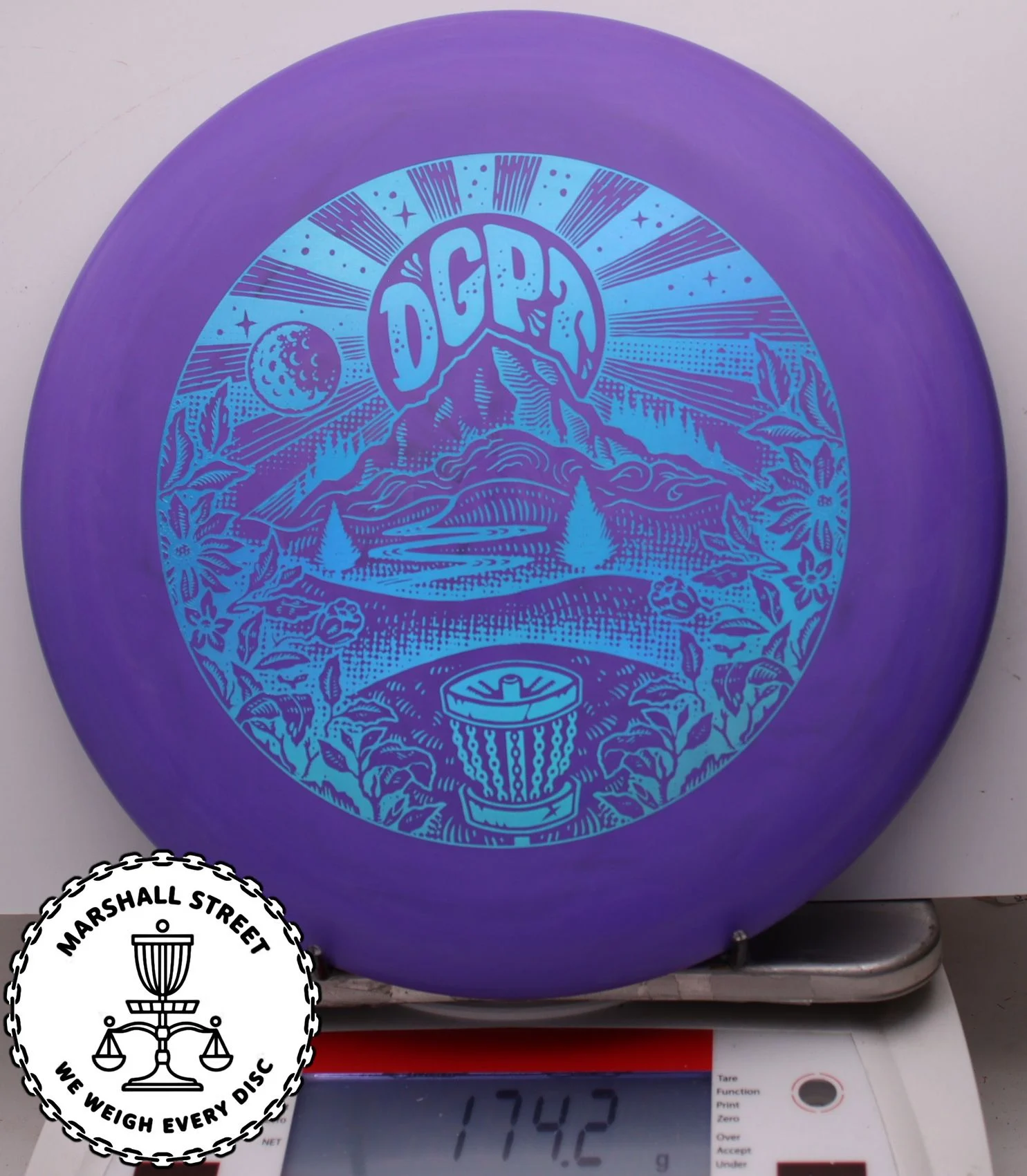 313066.jpg D-Line Steady, DGPT - #13 Purple, 174