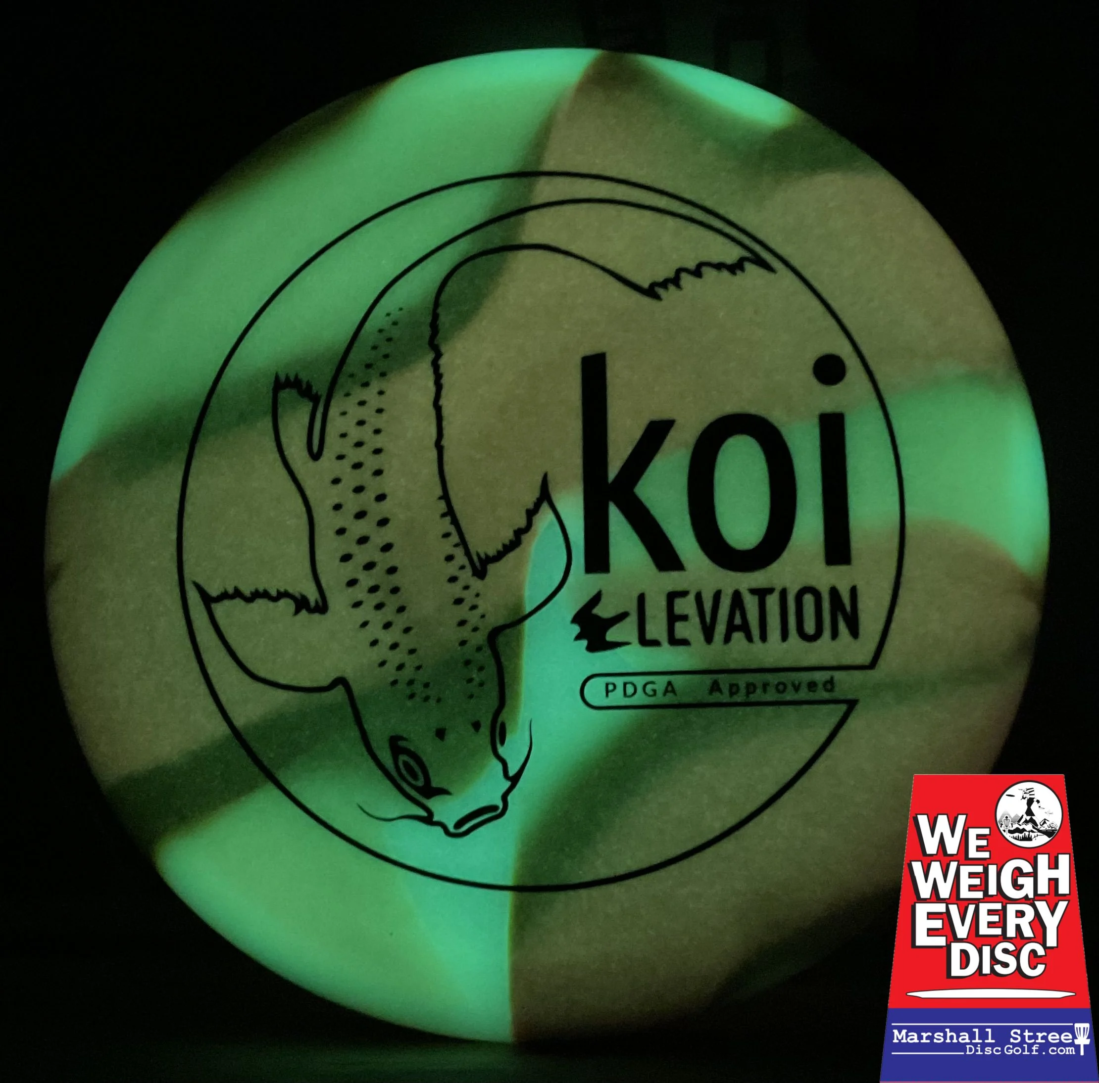 glo-G Koi - Image 2