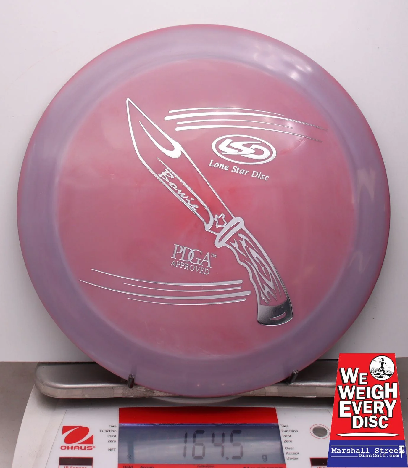 009246 Bravo Bowie - #41 Maroon, 164