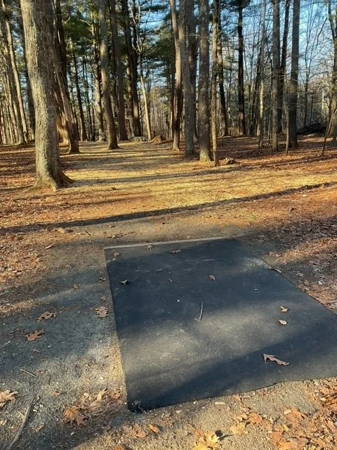 Disc Golf Hole