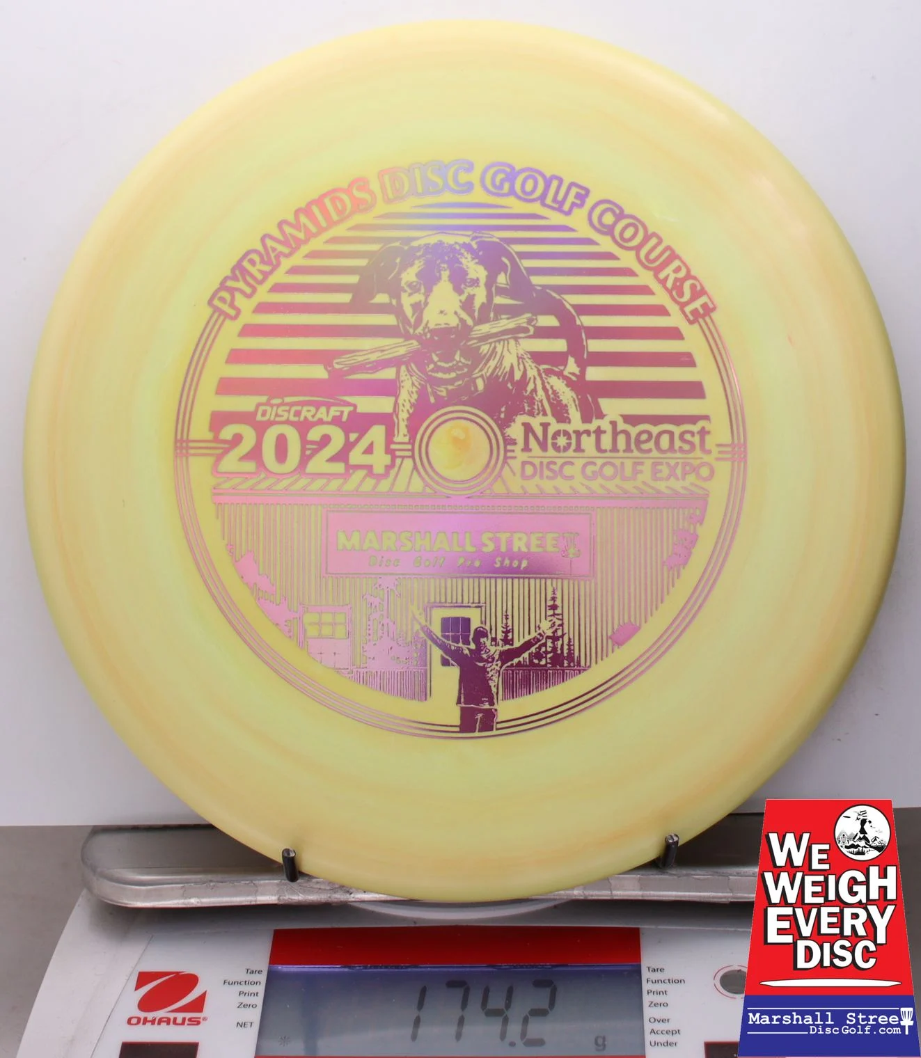 025093 ESP Zone, NEDG Expo 2024 - #06 Golden, 174