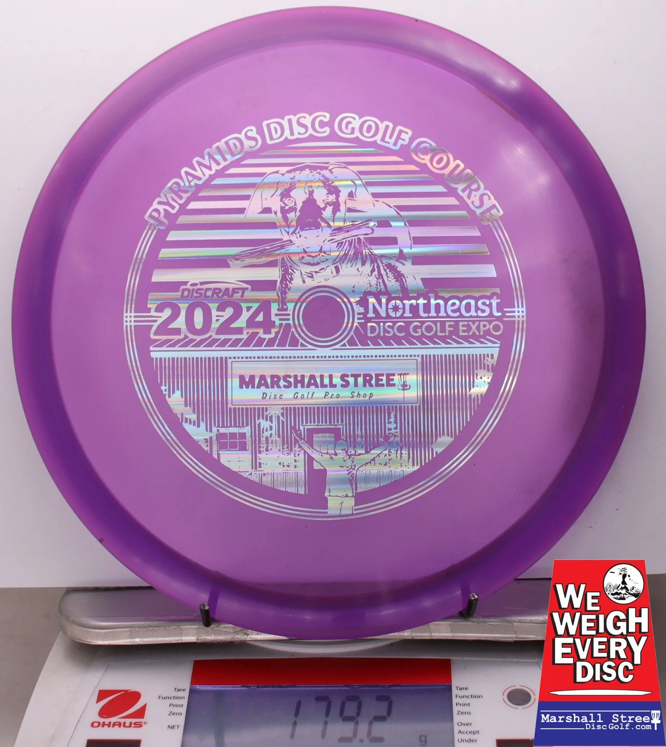 025214 Z Buzzz, NEDG Expo 2024 - #08 Purple, 179