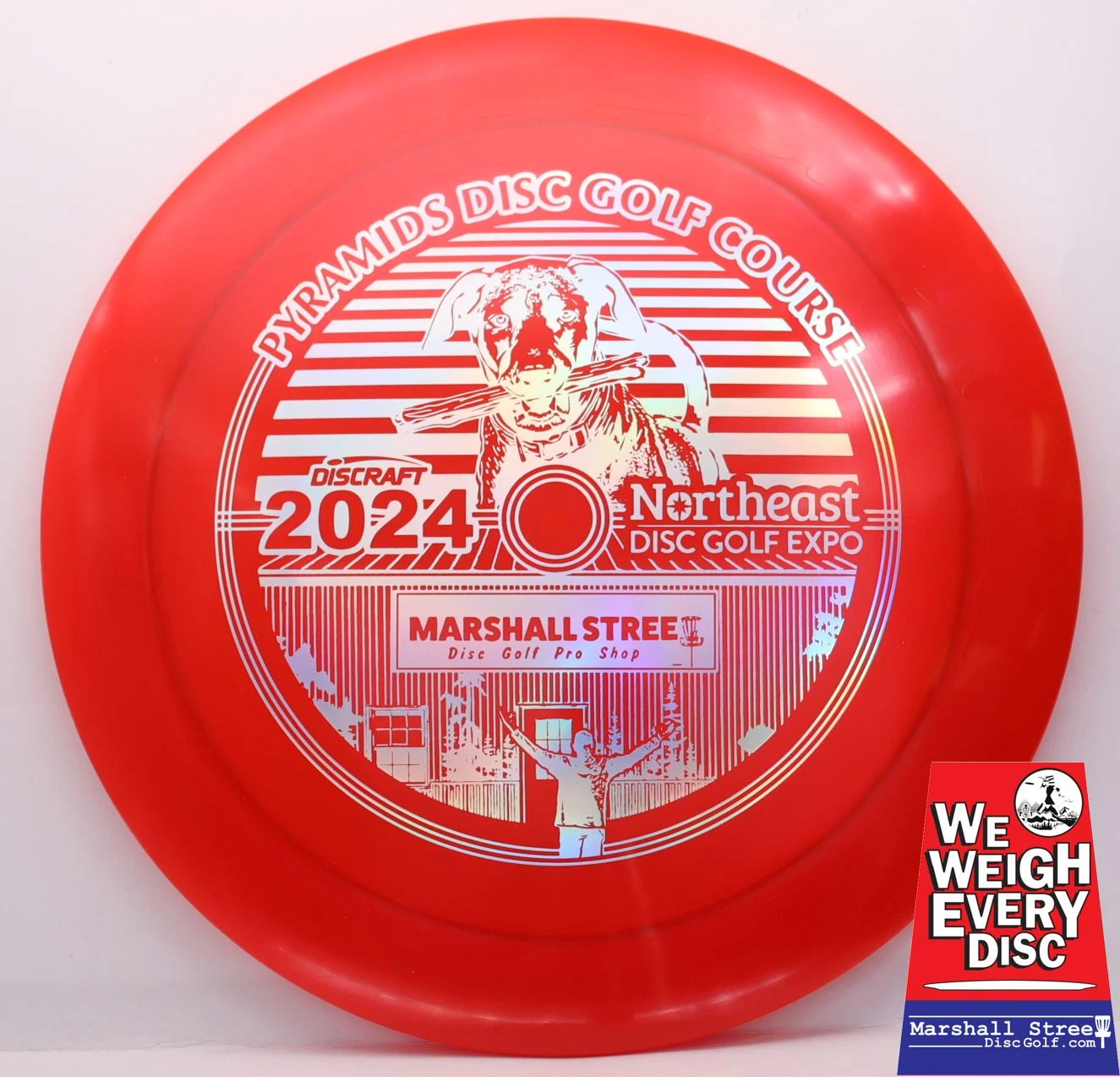 Z Nuke, NEDG Expo 2024