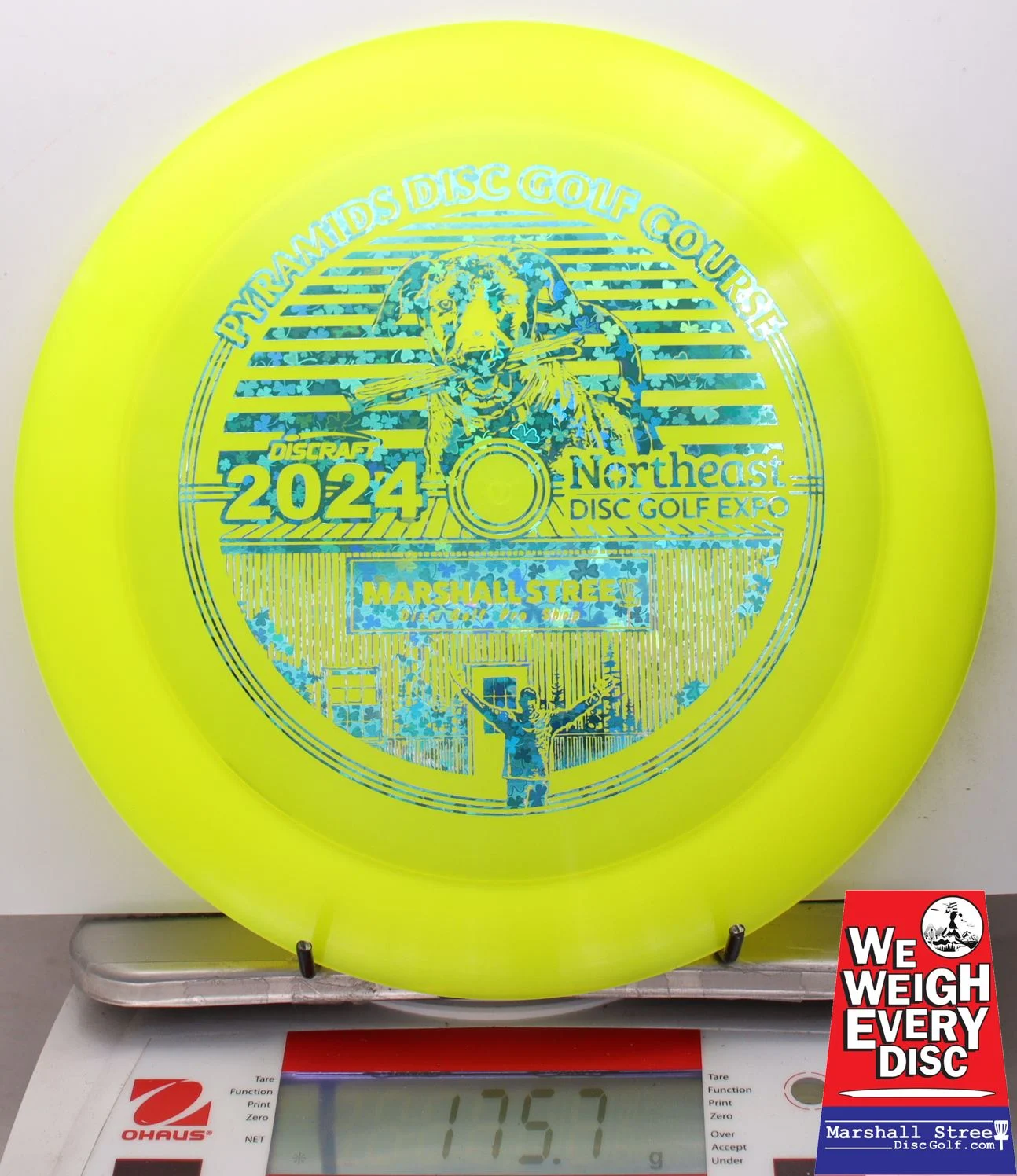 025225 Z Nuke, NEDG Expo 2024 - #08 NYellow, 176