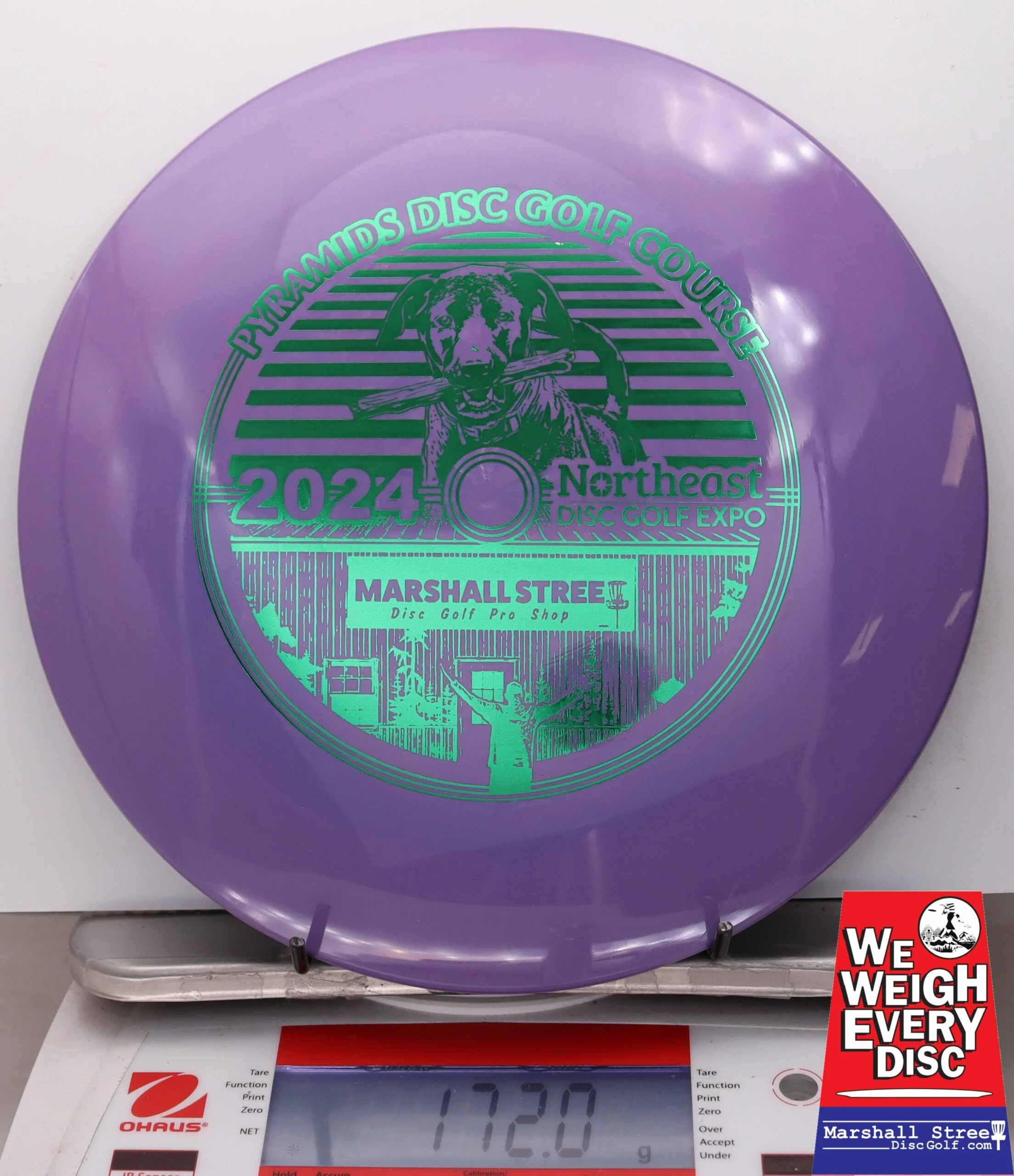 029532 Star Charger, NEDG Expo 2024 - #02 Purple, 172