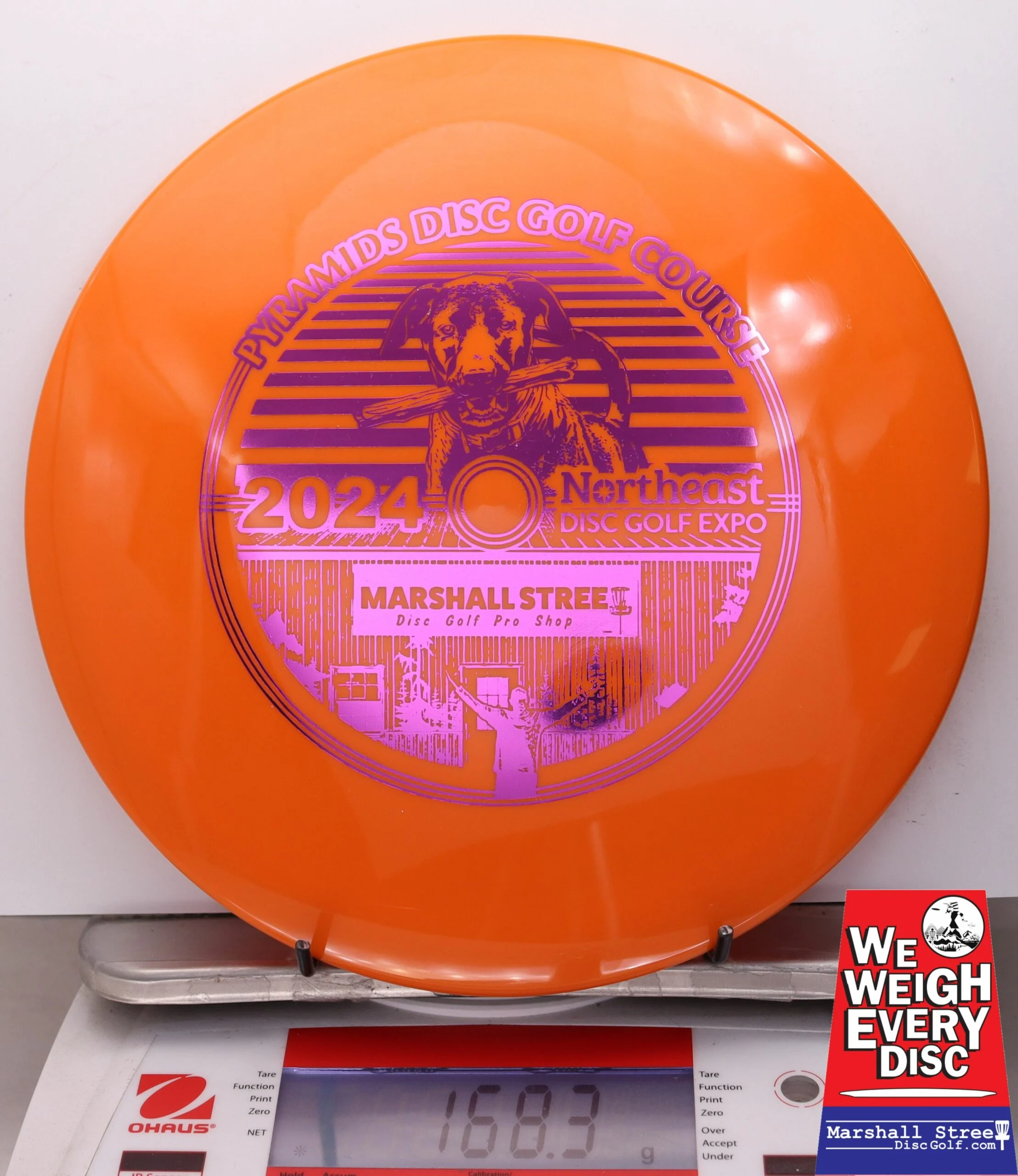 029556 Star Firebird, NEDG Expo 2024 - #10 Orange, 168