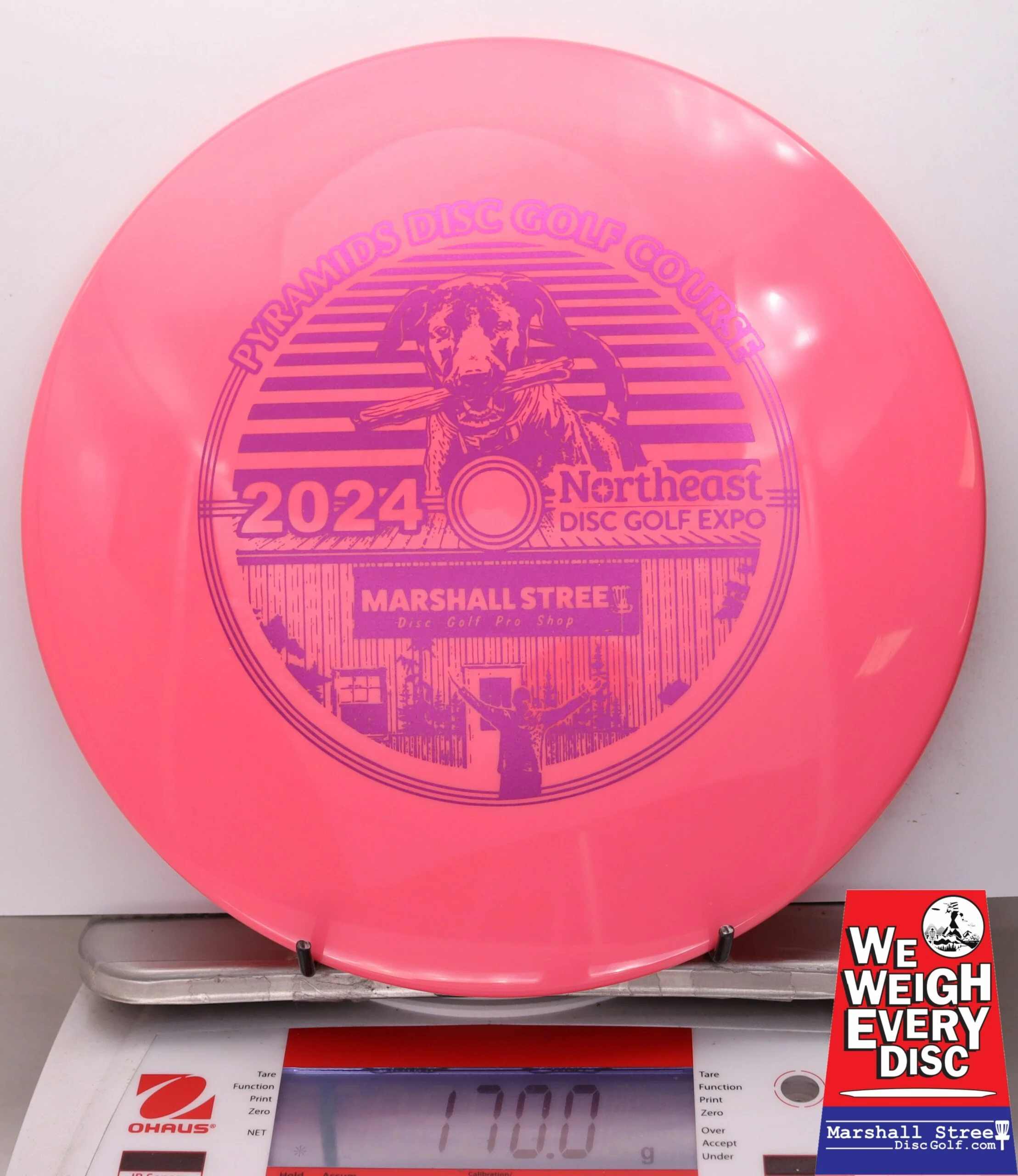 029560 Star Firebird, NEDG Expo 2024 - #14 Pink, 170