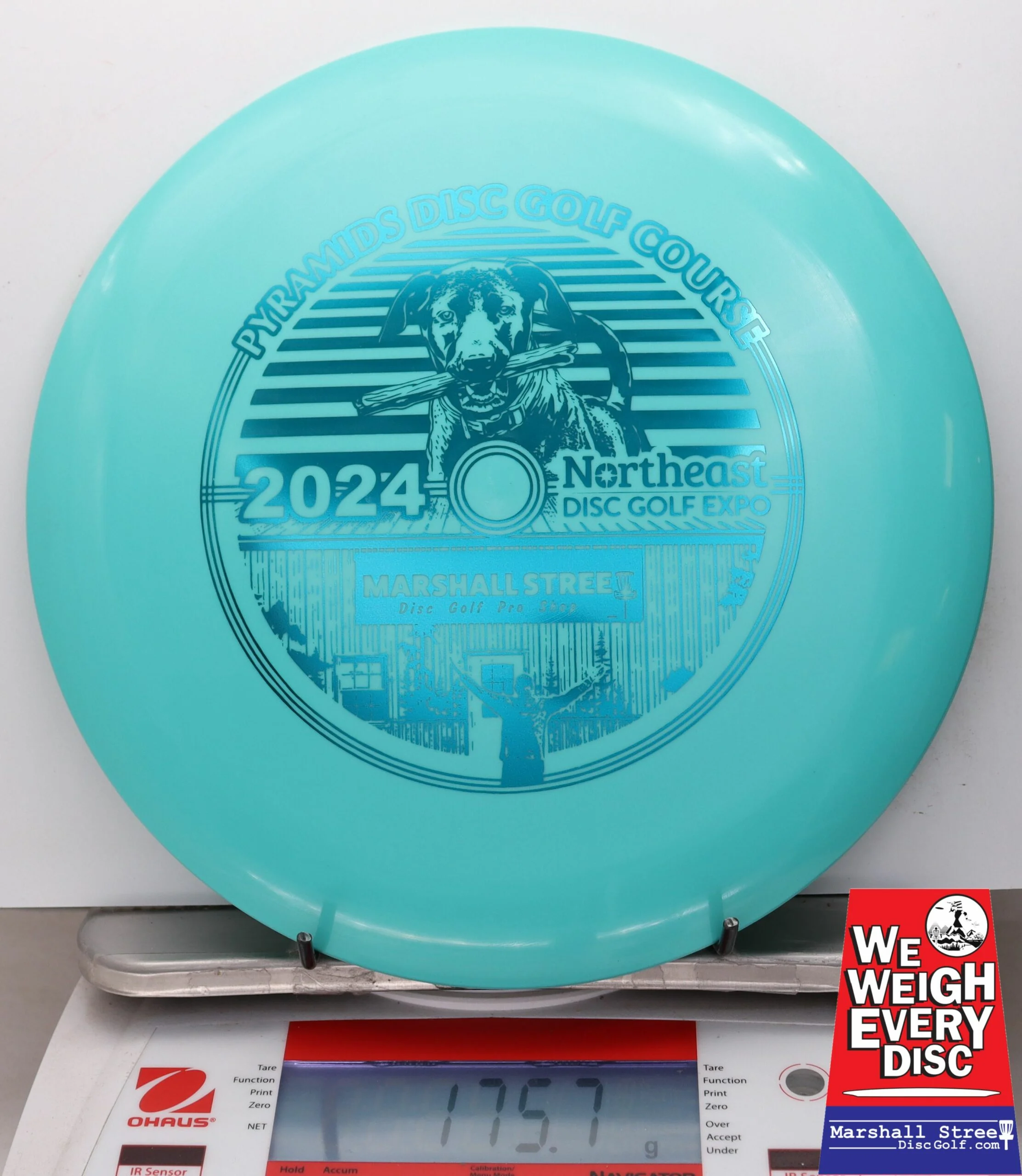 029568 Star Tern, NEDG Expo 2024 - #06 Teal, 176