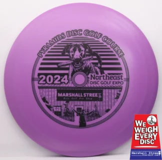 DX Teebird, NEDG Expo 2024