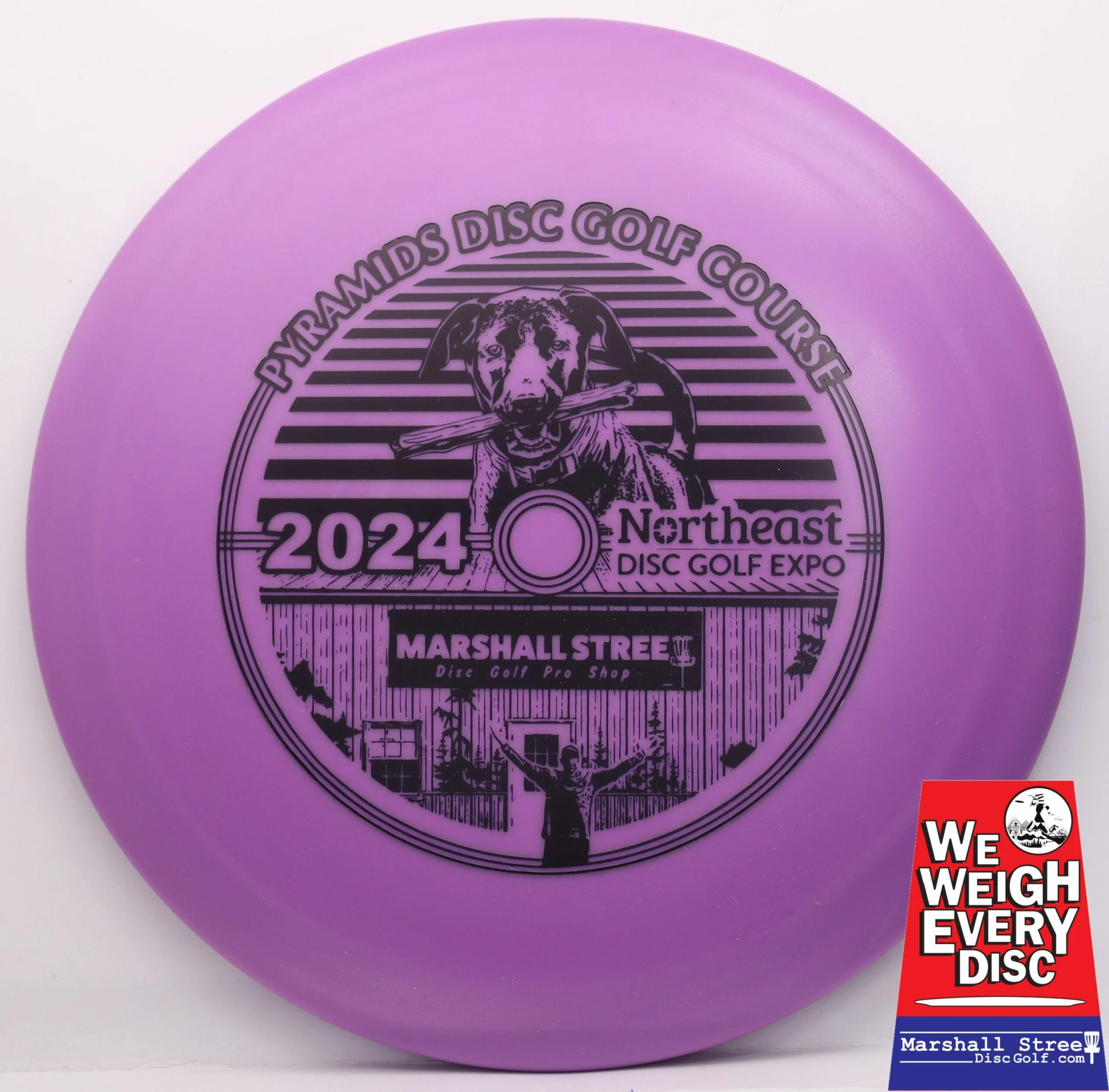 DX Teebird, NEDG Expo 2024