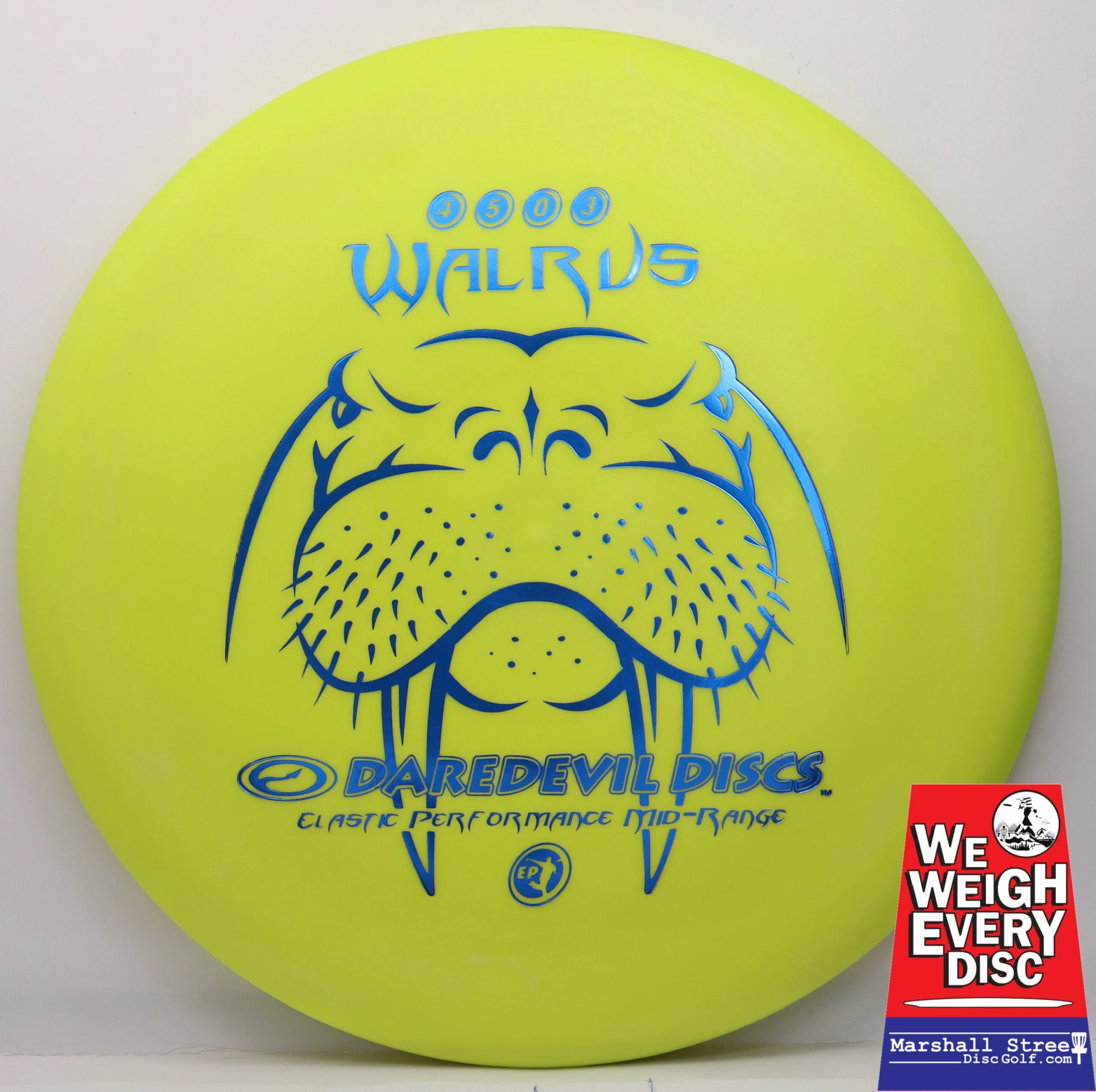 Walrus