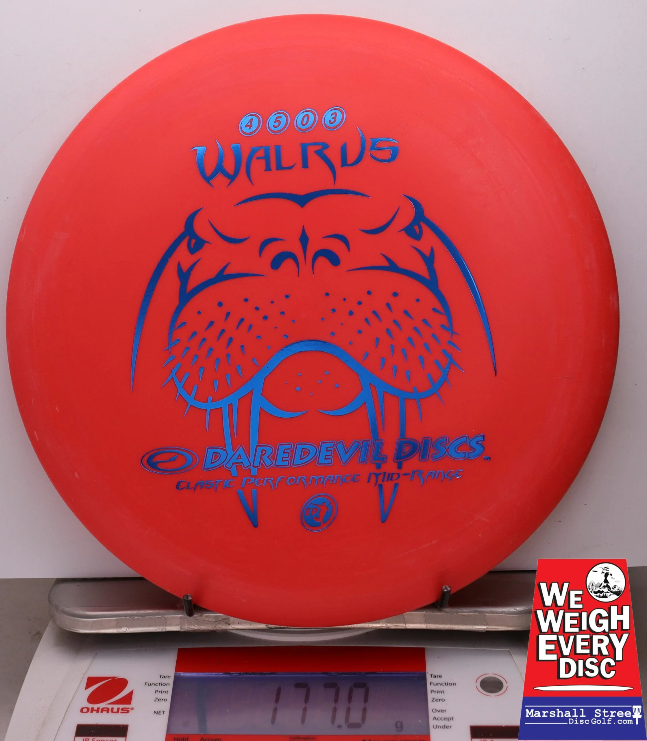053934 Walrus - #21 Red, 177