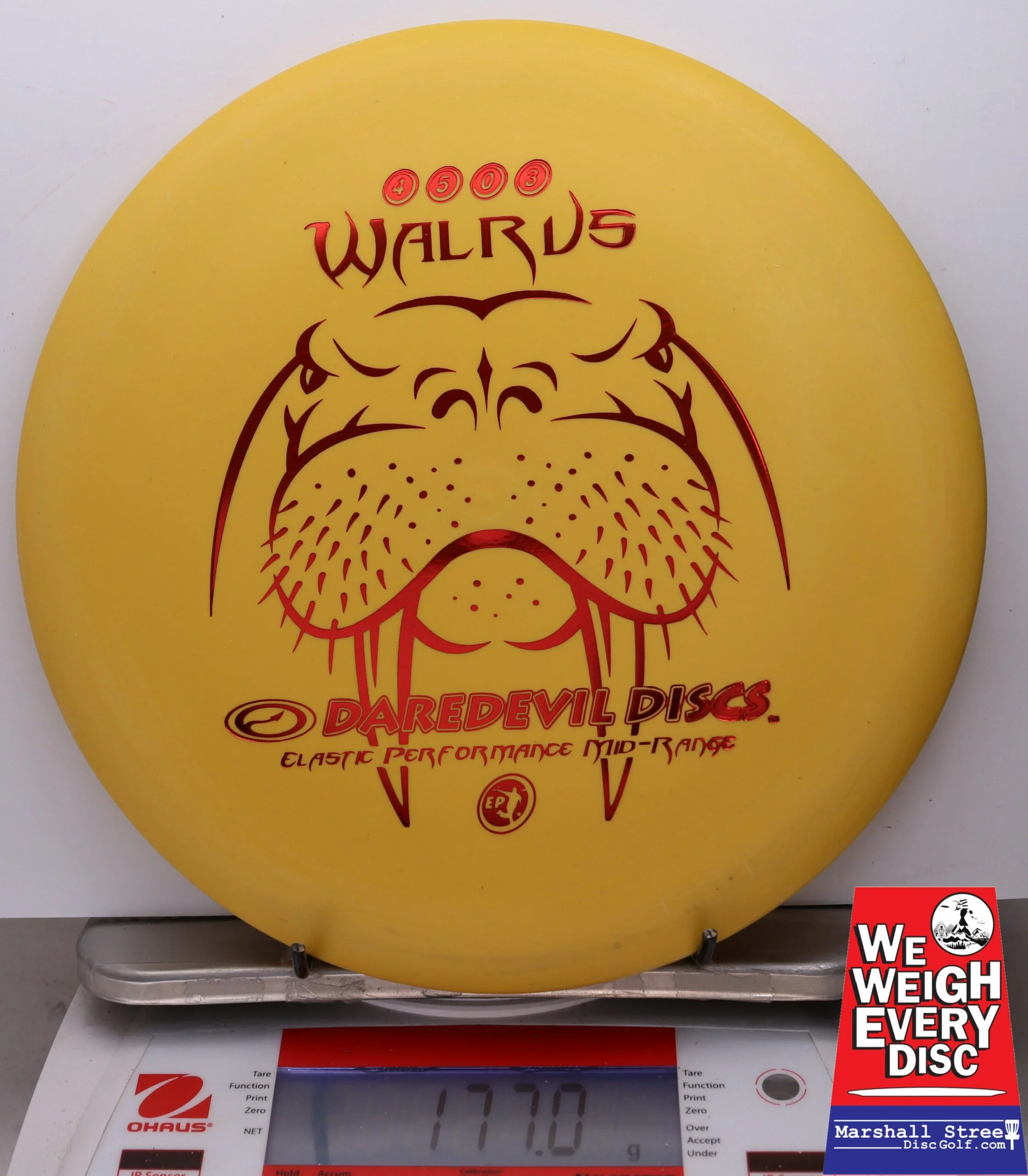 053935 Walrus - #22 Yellow, 177