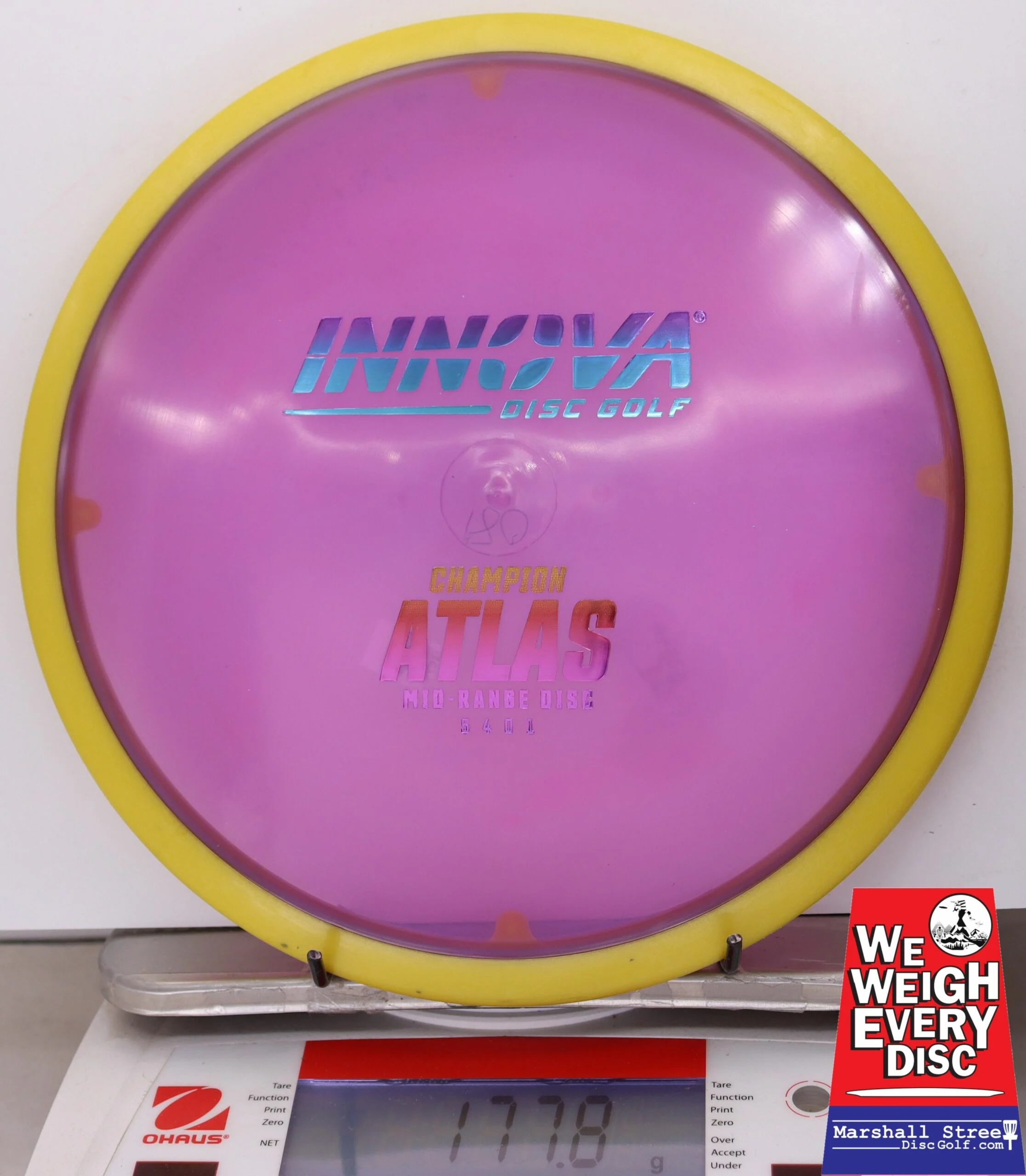 065895 Champion Atlas - #46 Y-Purple, 178