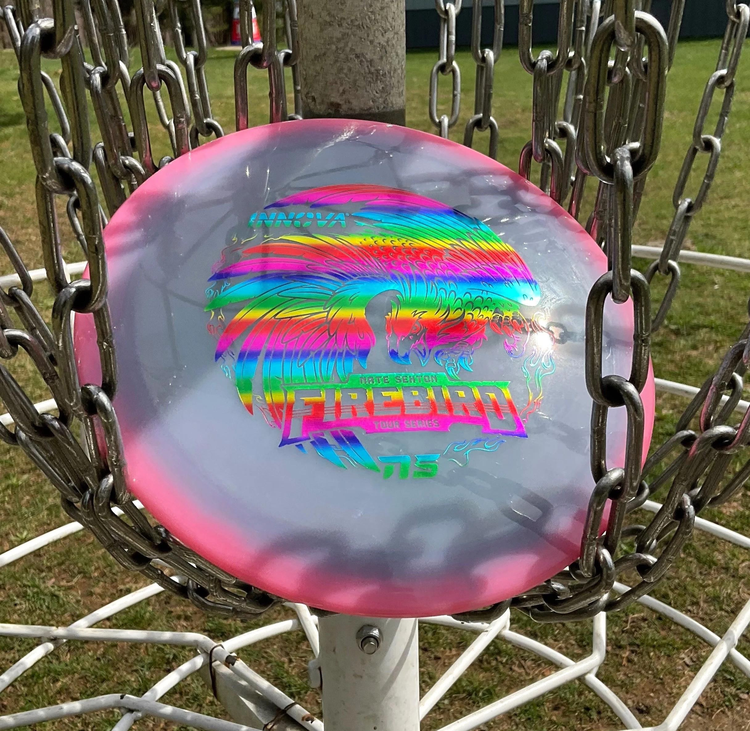 Special Edition Discs - Nate Sexton Glow Halo Champion Firebird