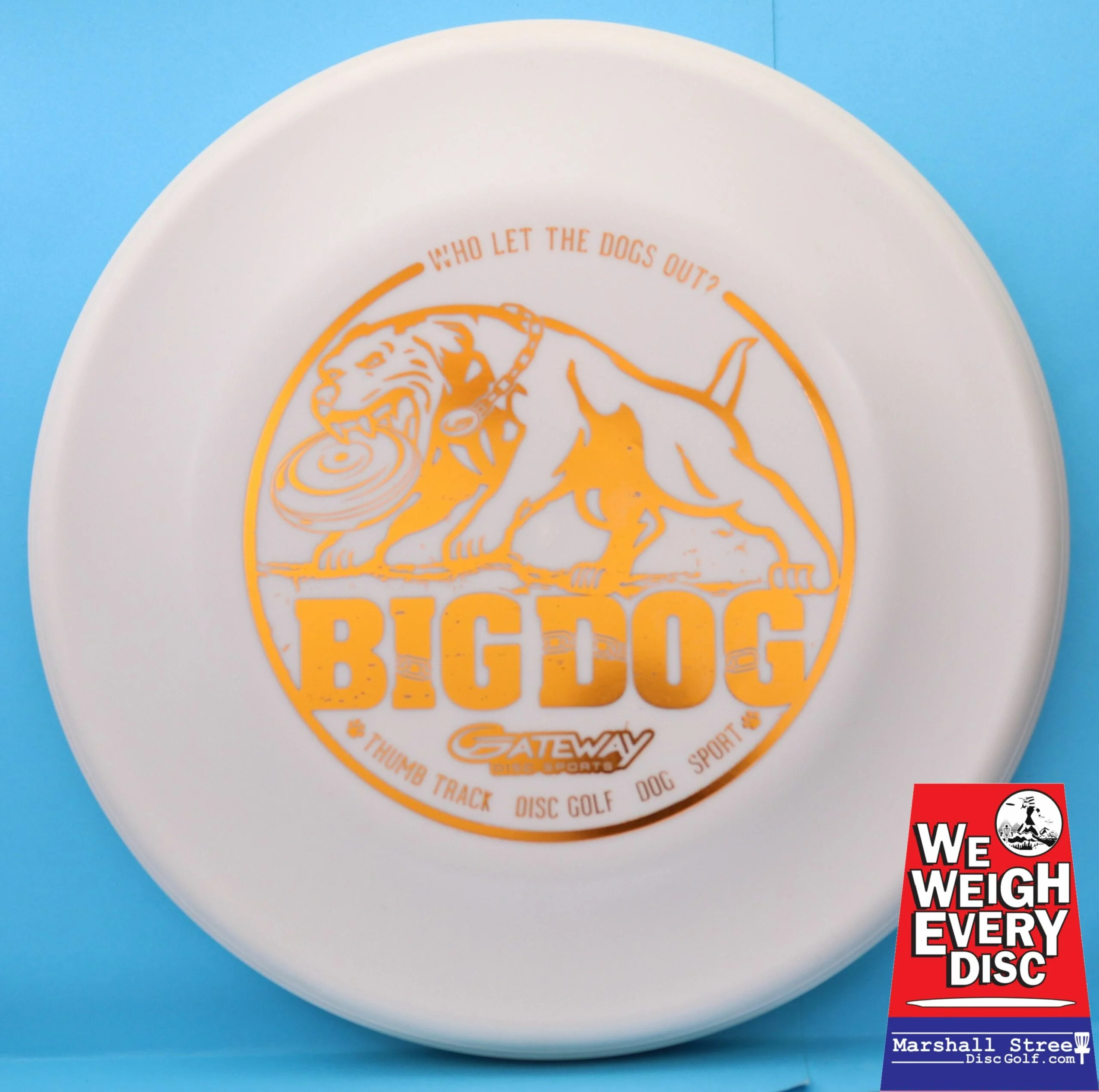 Superglow Big Dog