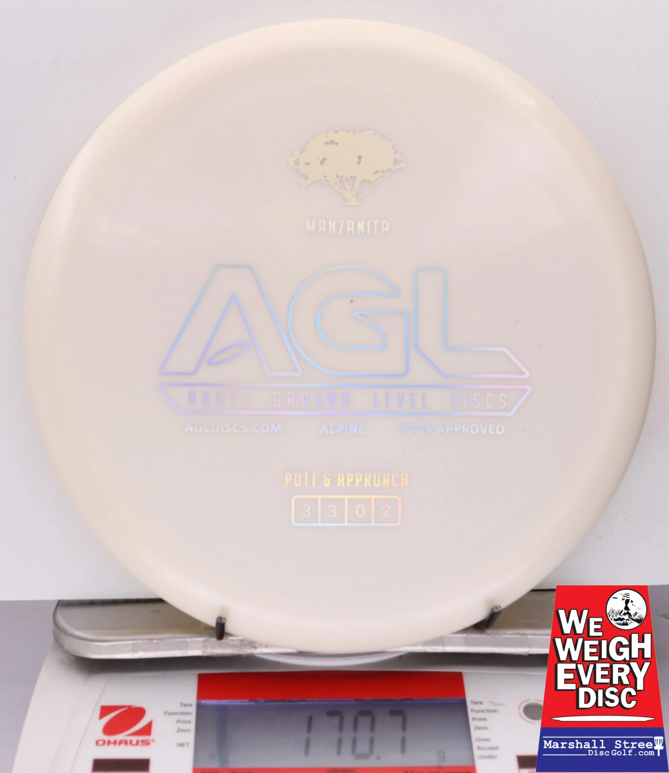 176849 Alpine Manzanita - #09 White, 171