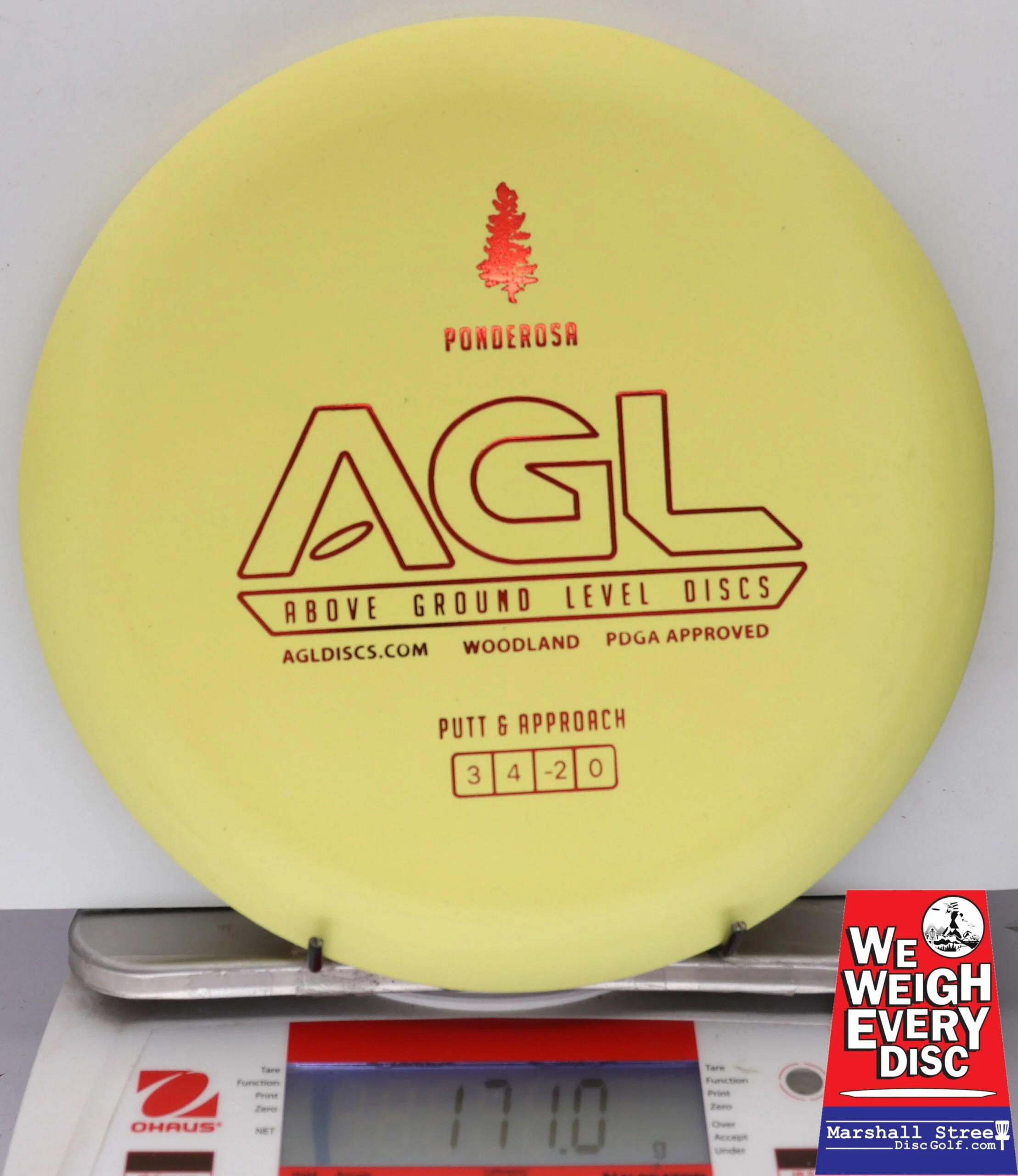 177087 Woodland Ponderosa - #31 Yellow, 171