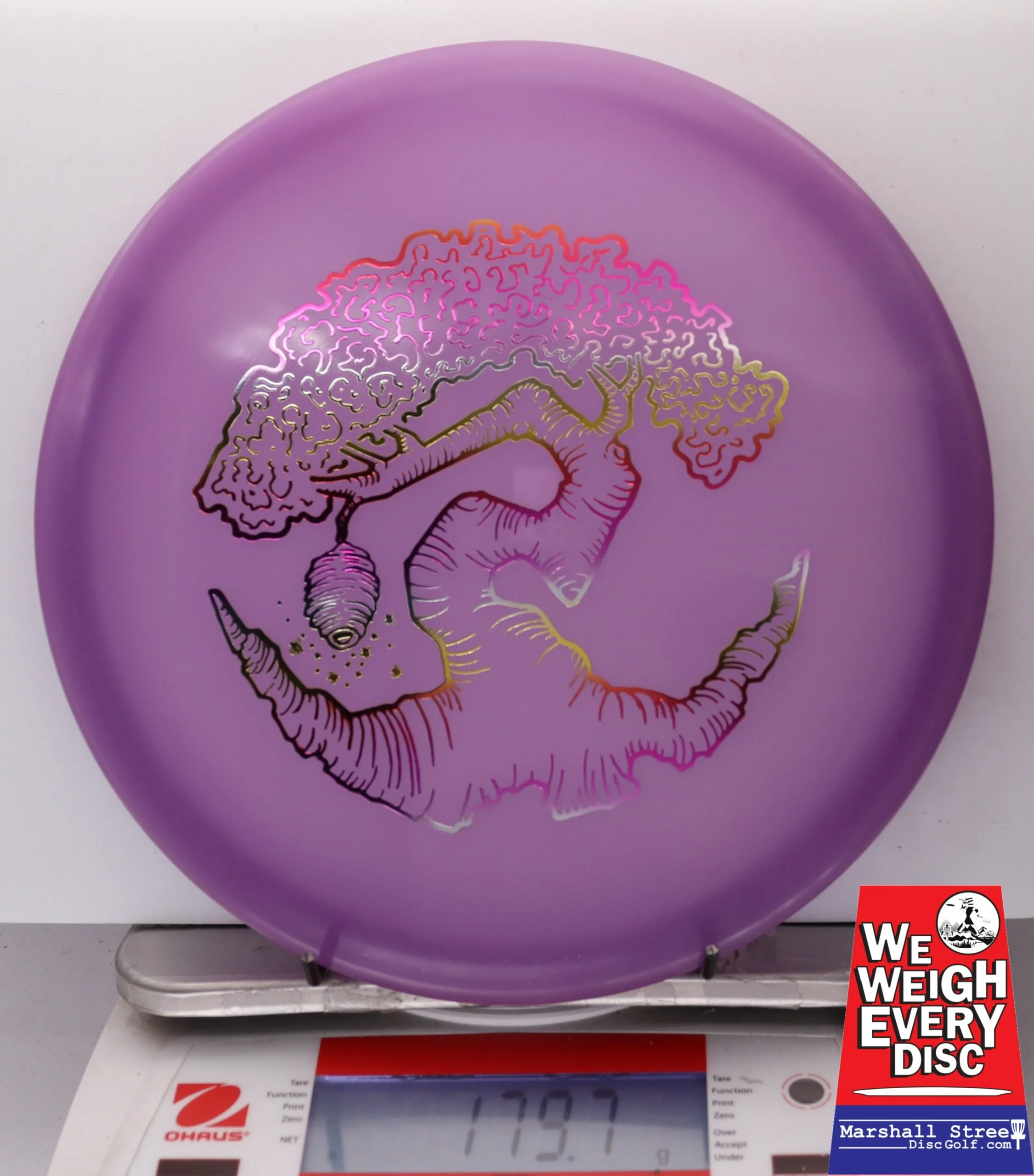 186452 Z FLX Glow Swarm, Limited Edition - Faylor Lake Classic Fundraiser - #18 PurpleGlow, 180