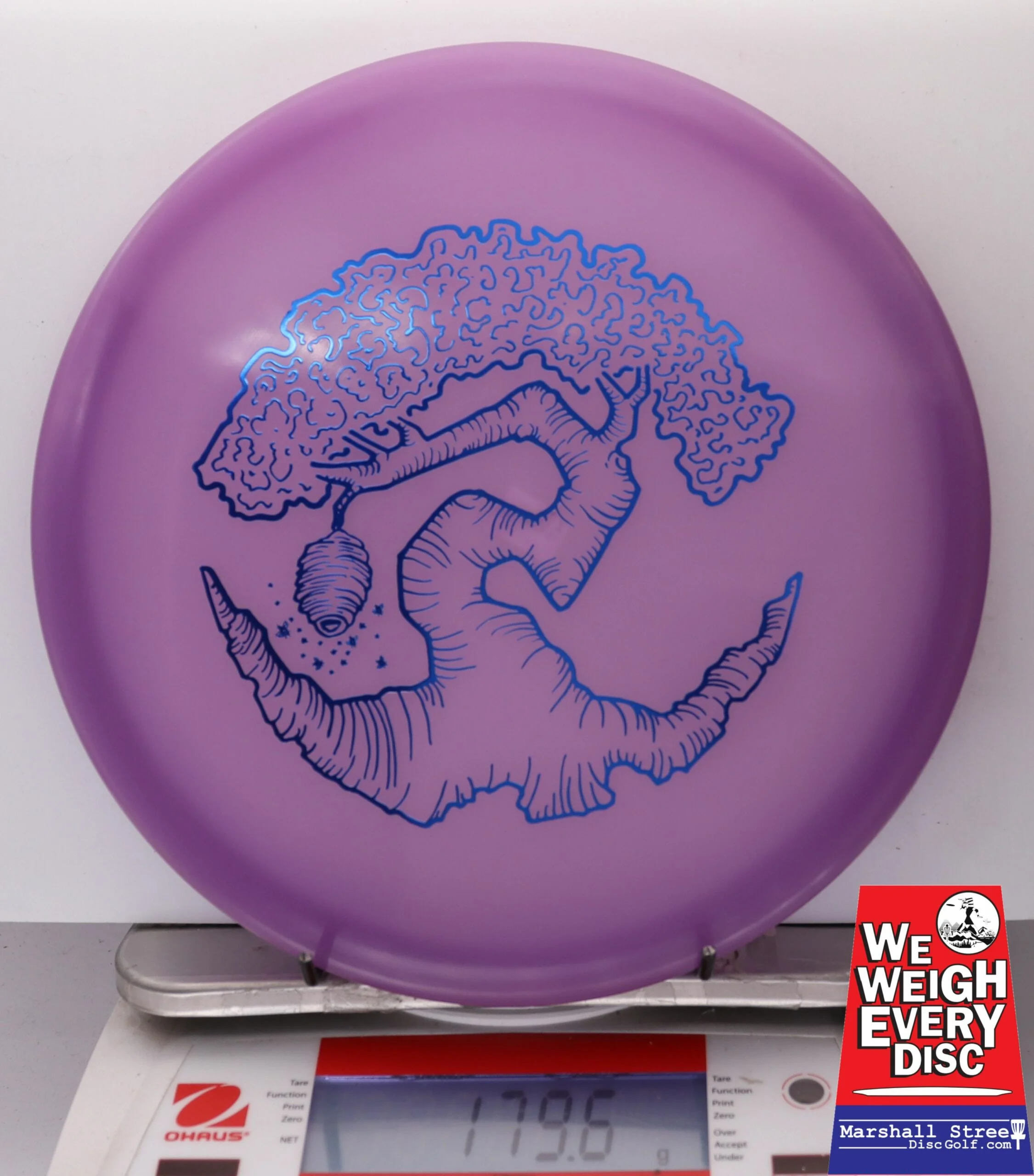 186453 Z FLX Glow Swarm, Limited Edition - Faylor Lake Classic Fundraiser - #19 PurpleGlow, 180