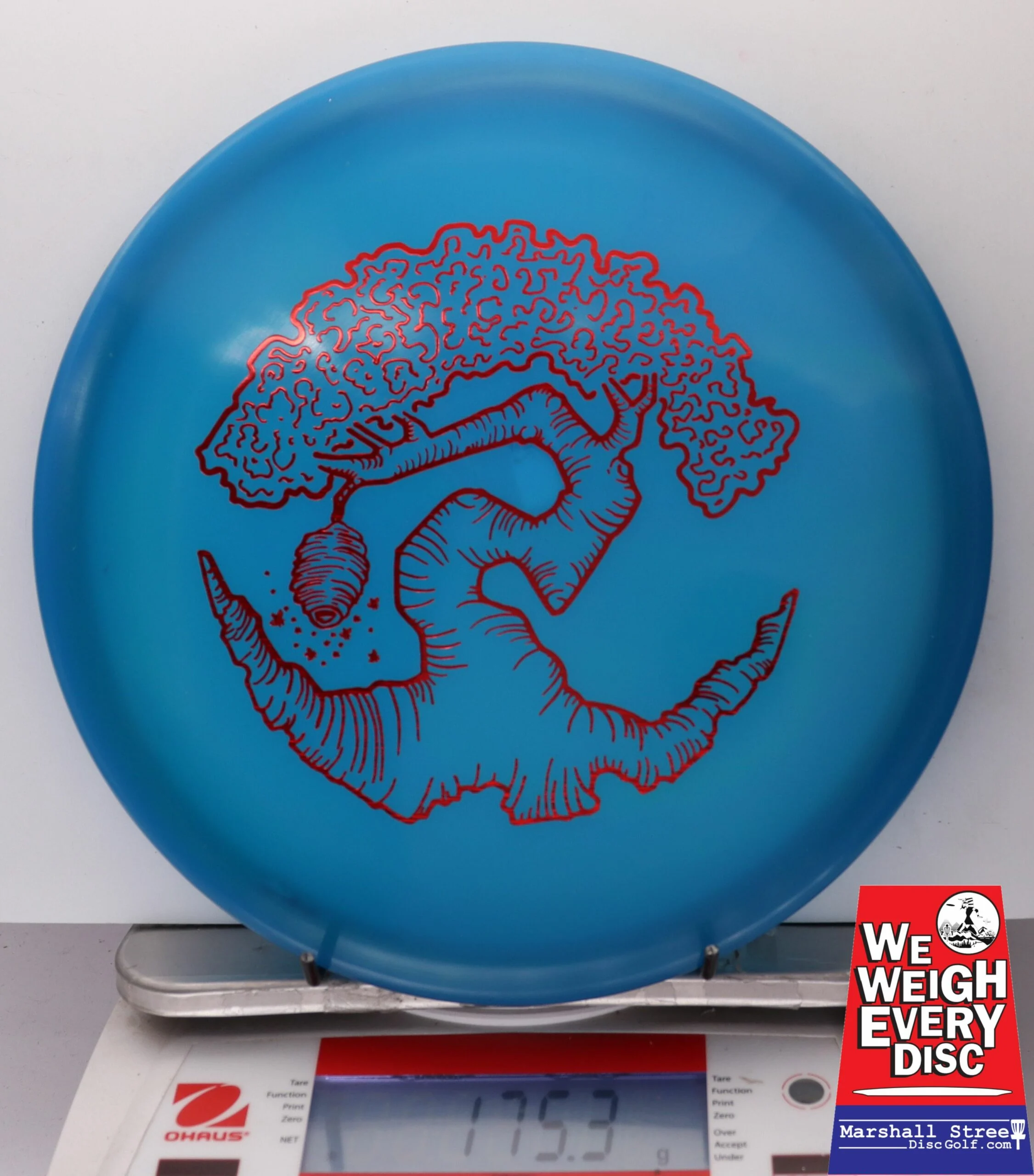 186459 Z FLX Glow Swarm, Limited Edition - Faylor Lake Classic Fundraiser - #25 BlueGlow, 175