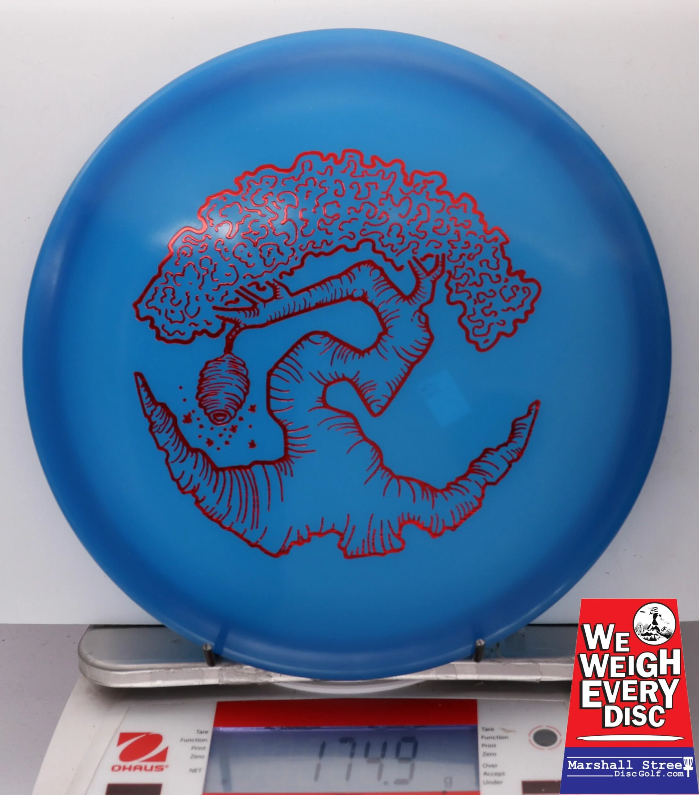 186460 Z FLX Glow Swarm, Limited Edition - Faylor Lake Classic Fundraiser - #26 BlueGlow, 175