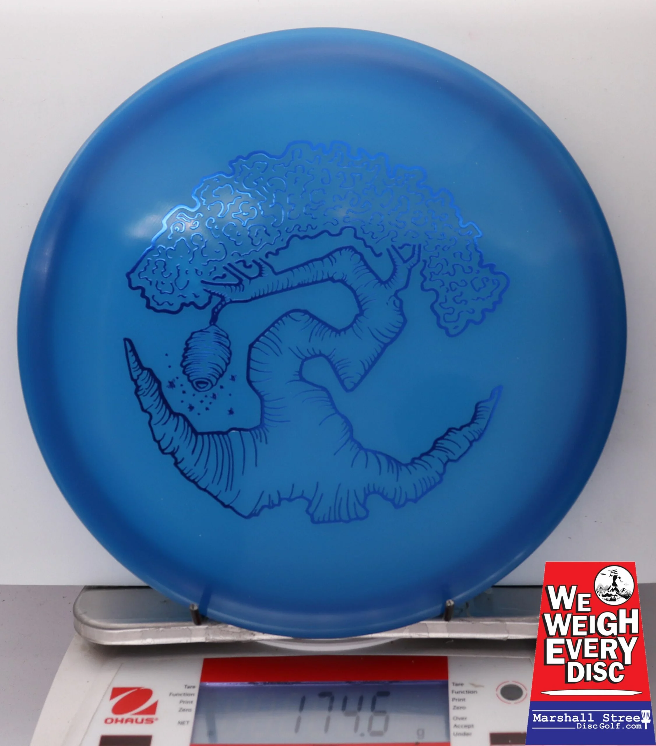 186461 Z FLX Glow Swarm, Limited Edition - Faylor Lake Classic Fundraiser - #27 BlueGlow, 175