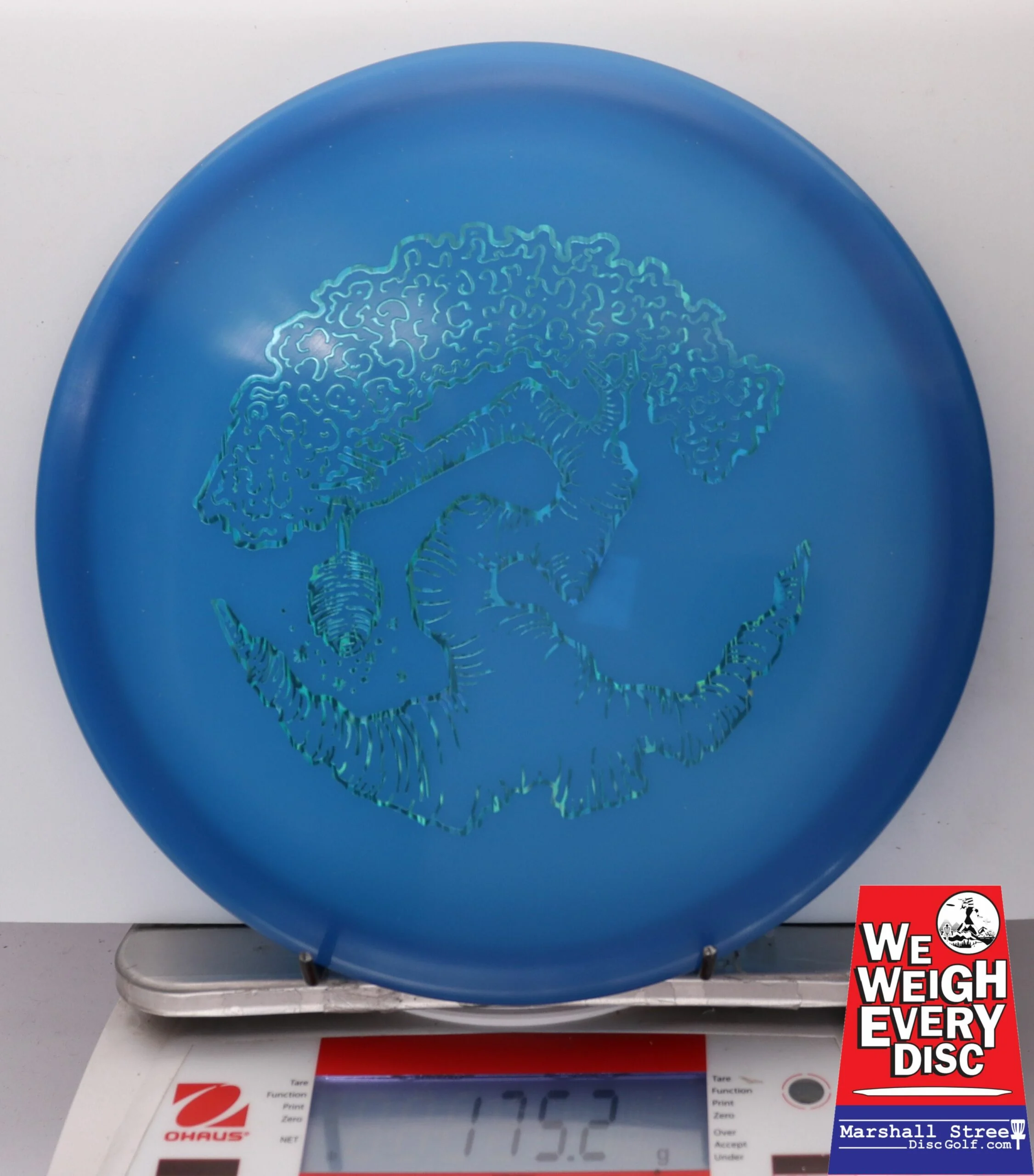 186463 Z FLX Glow Swarm, Limited Edition - Faylor Lake Classic Fundraiser - #29 BlueGlow, 175