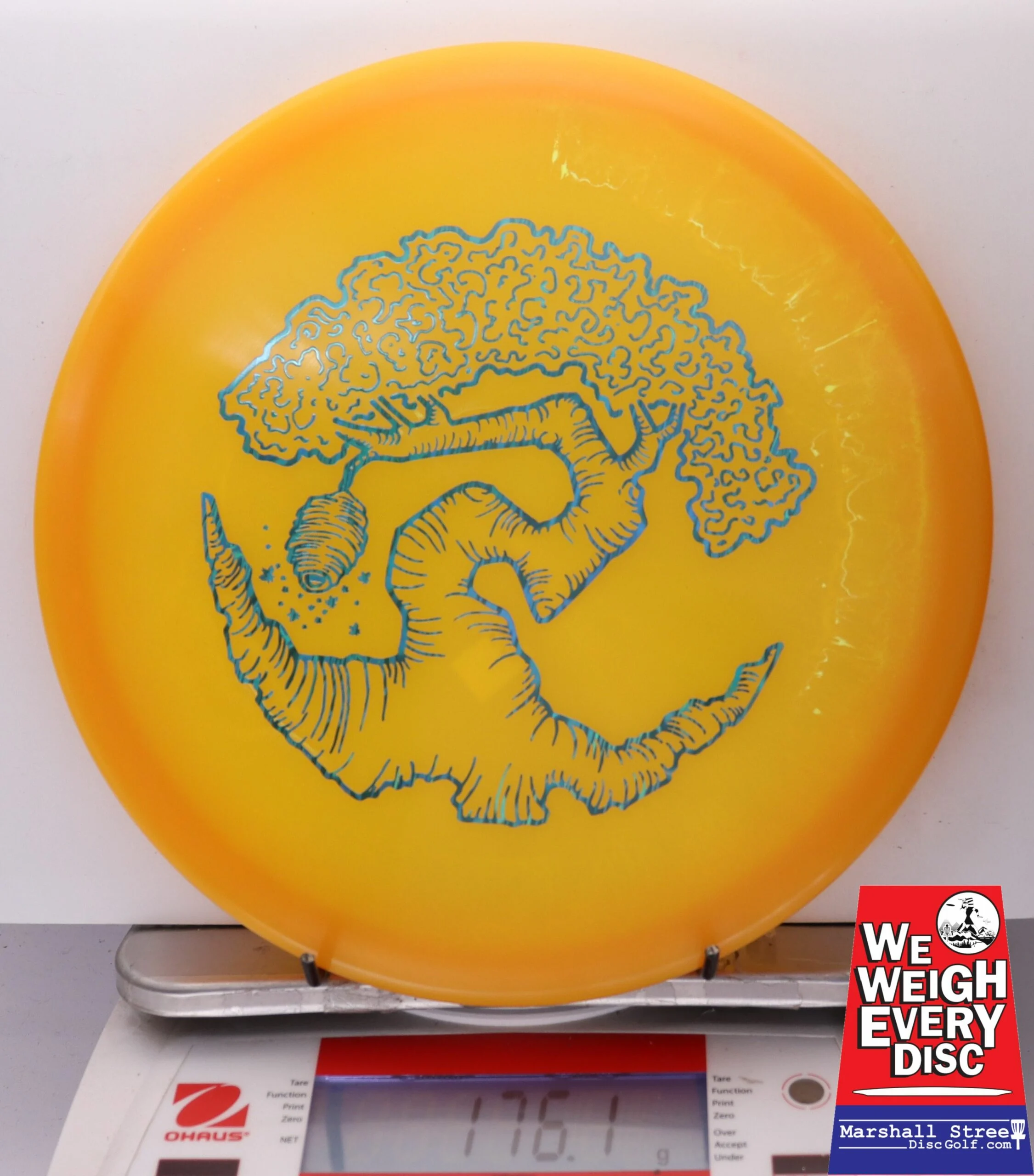 186466 Z FLX Glow Swarm, Limited Edition - Faylor Lake Classic Fundraiser - #32 OrangeGlow, 176