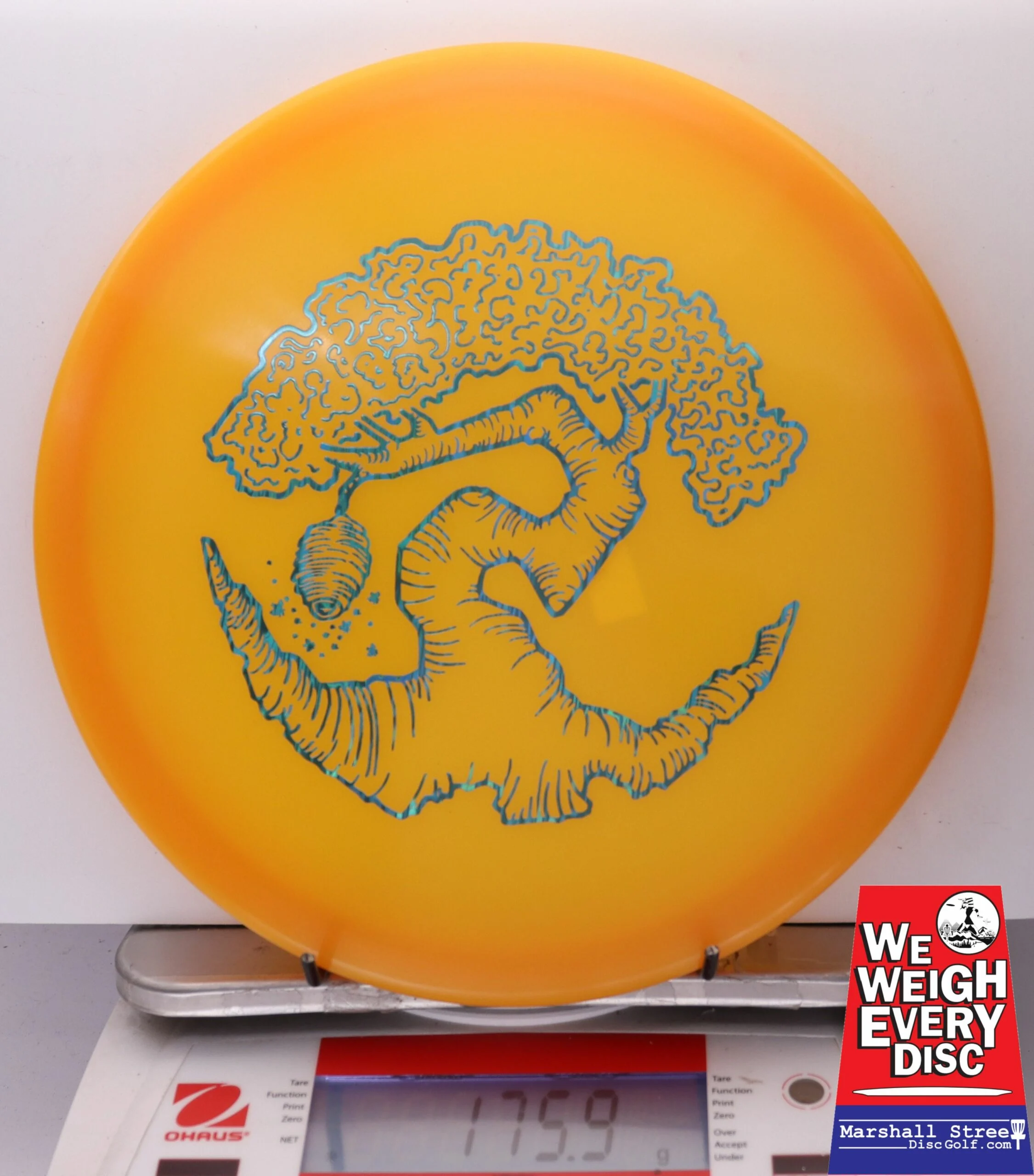 186467 Z FLX Glow Swarm, Limited Edition - Faylor Lake Classic Fundraiser - #33 OrangeGlow, 176