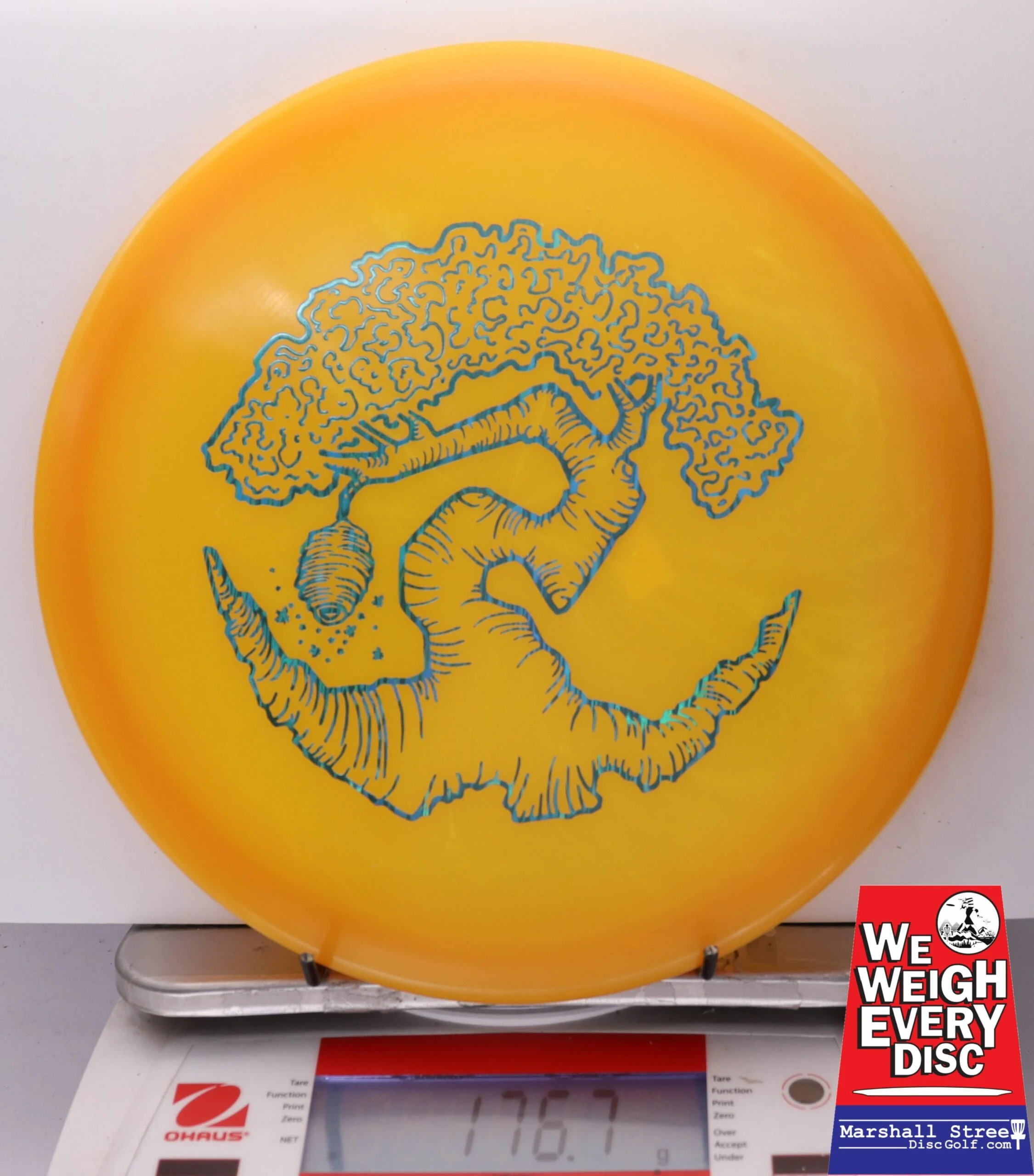 186468 Z FLX Glow Swarm, Limited Edition - Faylor Lake Classic Fundraiser - #34 OrangeGlow, 177
