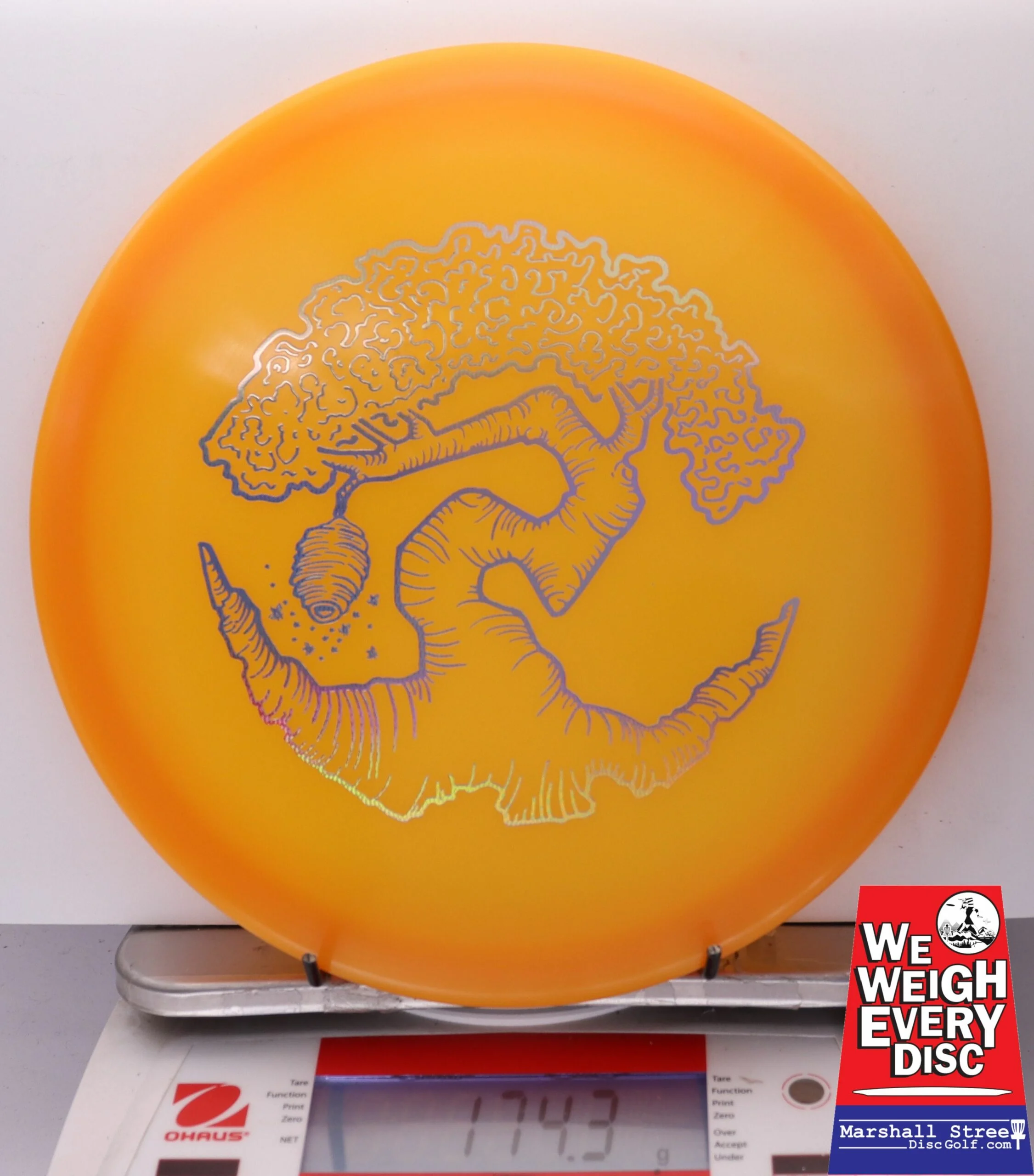 186470 Z FLX Glow Swarm, Limited Edition - Faylor Lake Classic Fundraiser - #36 OrangeGlow, 174