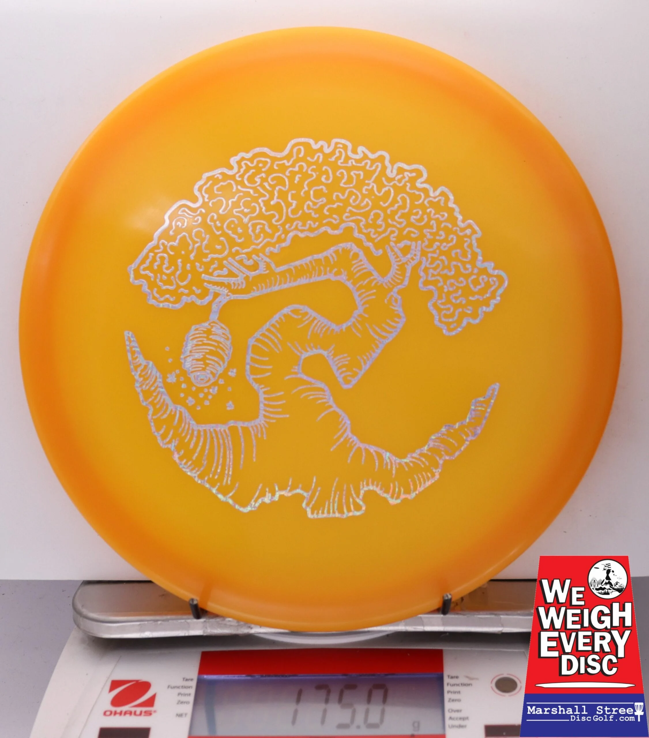 186471 Z FLX Glow Swarm, Limited Edition - Faylor Lake Classic Fundraiser - #37 OrangeGlow, 175